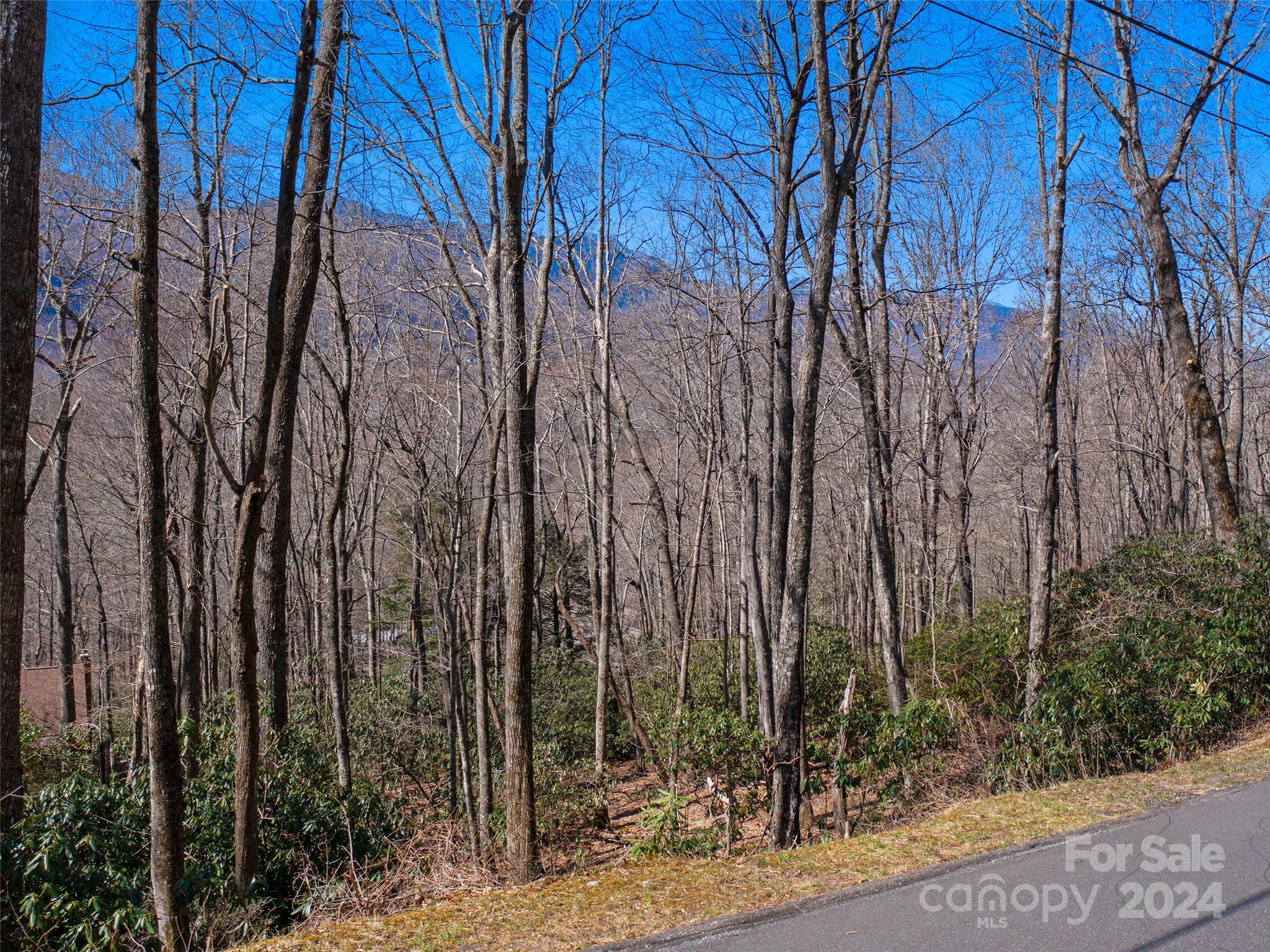 Mt. Mitchell Lands - Land