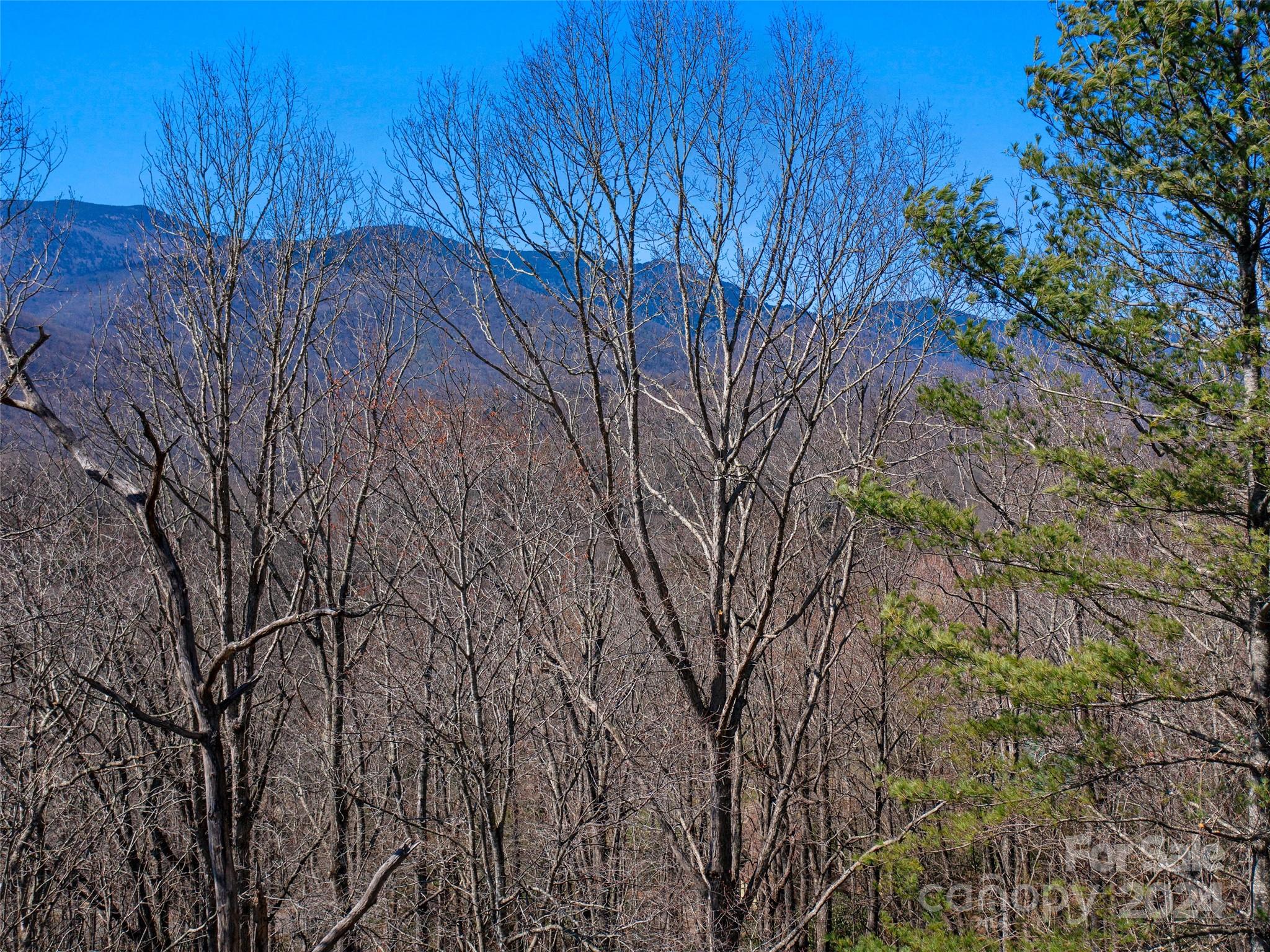 Mt. Mitchell Lands - Land