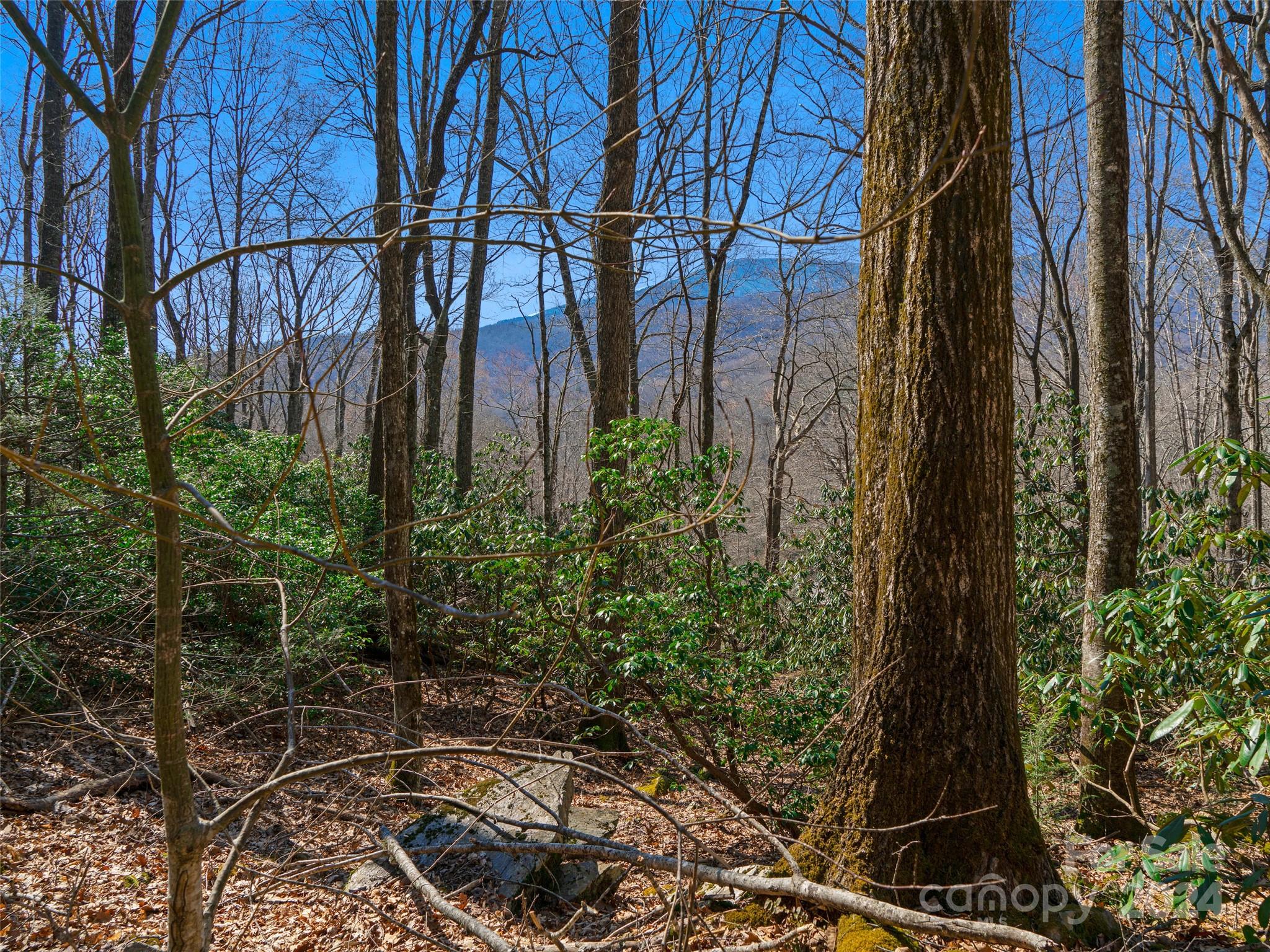 Mt. Mitchell Lands - Land