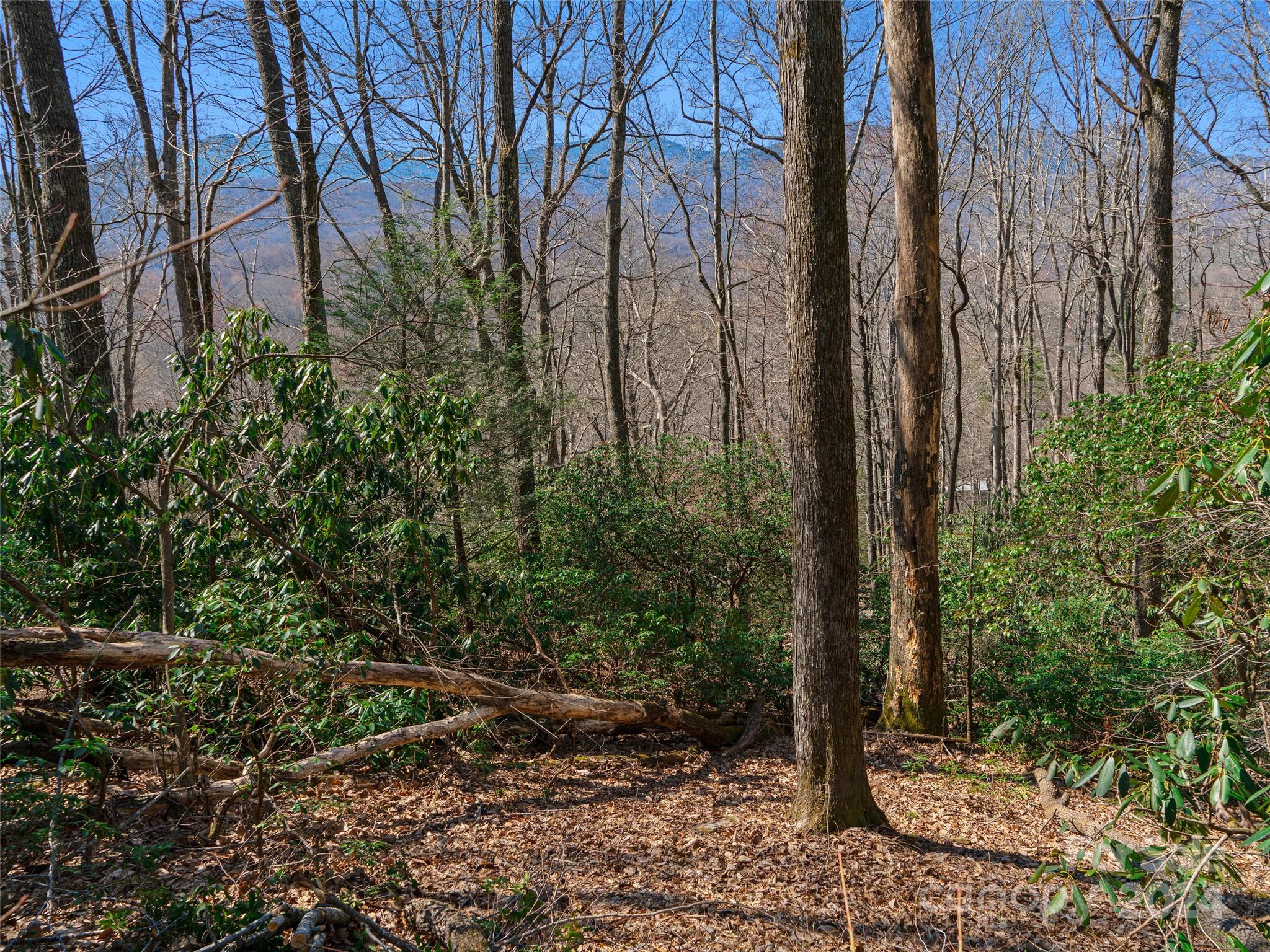 Mt. Mitchell Lands - Land