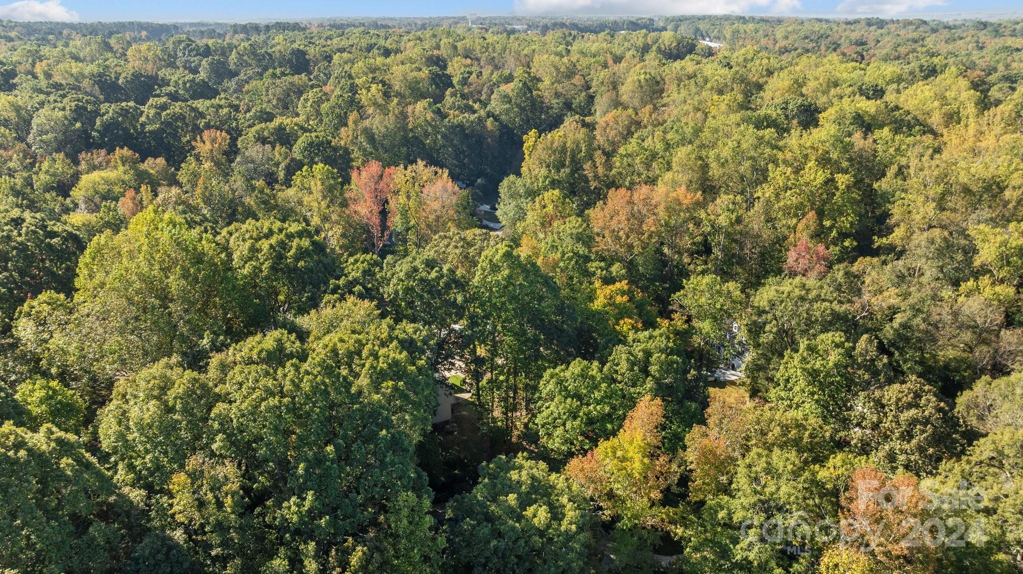 Wood Forest - Residential