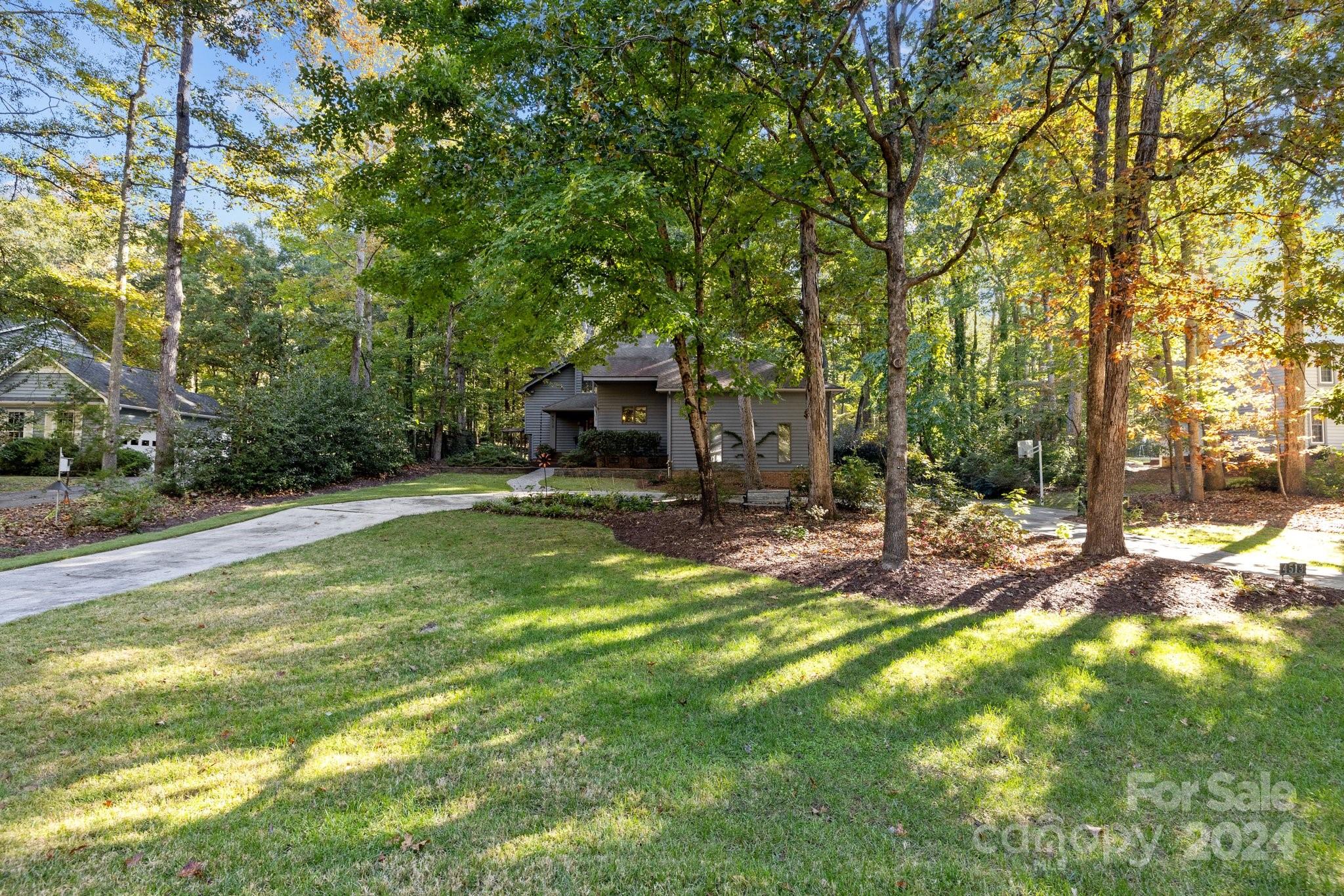Wood Forest - Residential