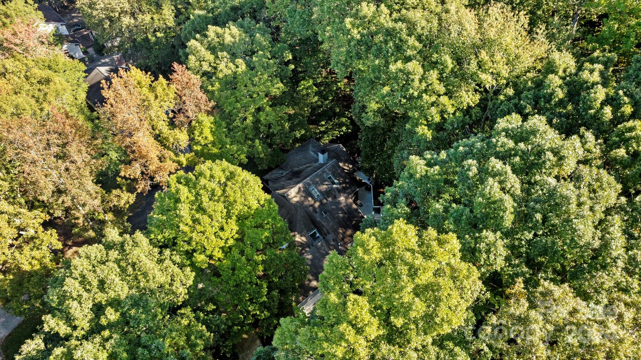 Wood Forest - Residential