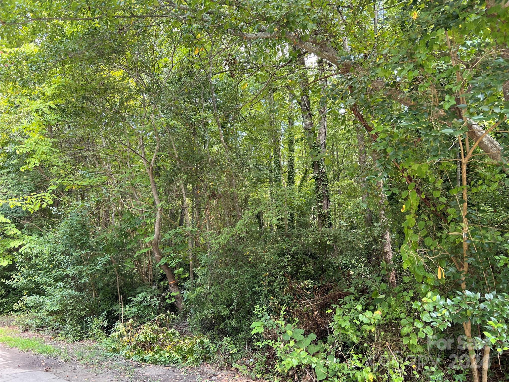Could this serene wooded lot in a well-established neighborhood be the location for your new home?  This lot offers privacy with its large hardwoods and quiet road.  Located inside the city limits of Clover, SC it places you close to all this little historic town has to offer!  Just minutes from thriving downtown where you can grab a cup of coffee, shop, or enjoy dinner at a local restaurant!  It is also located close to schools, parks, grocery stores and so much more!  No HOAs and ready to be built on, hurry this one won't last long!