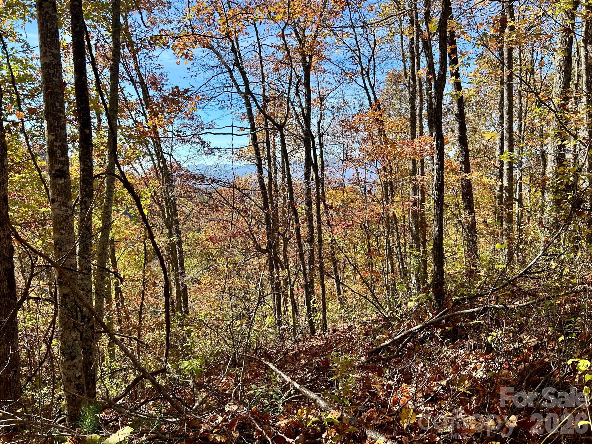 Brush Creek Properties - Land