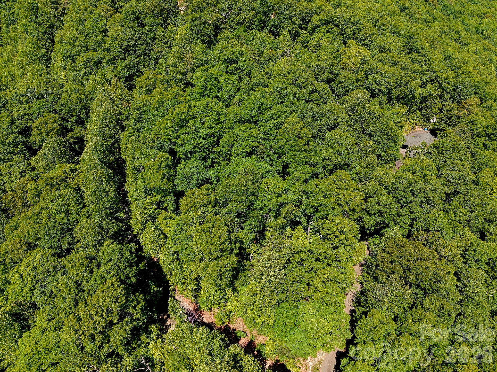 Rock Creek - Land