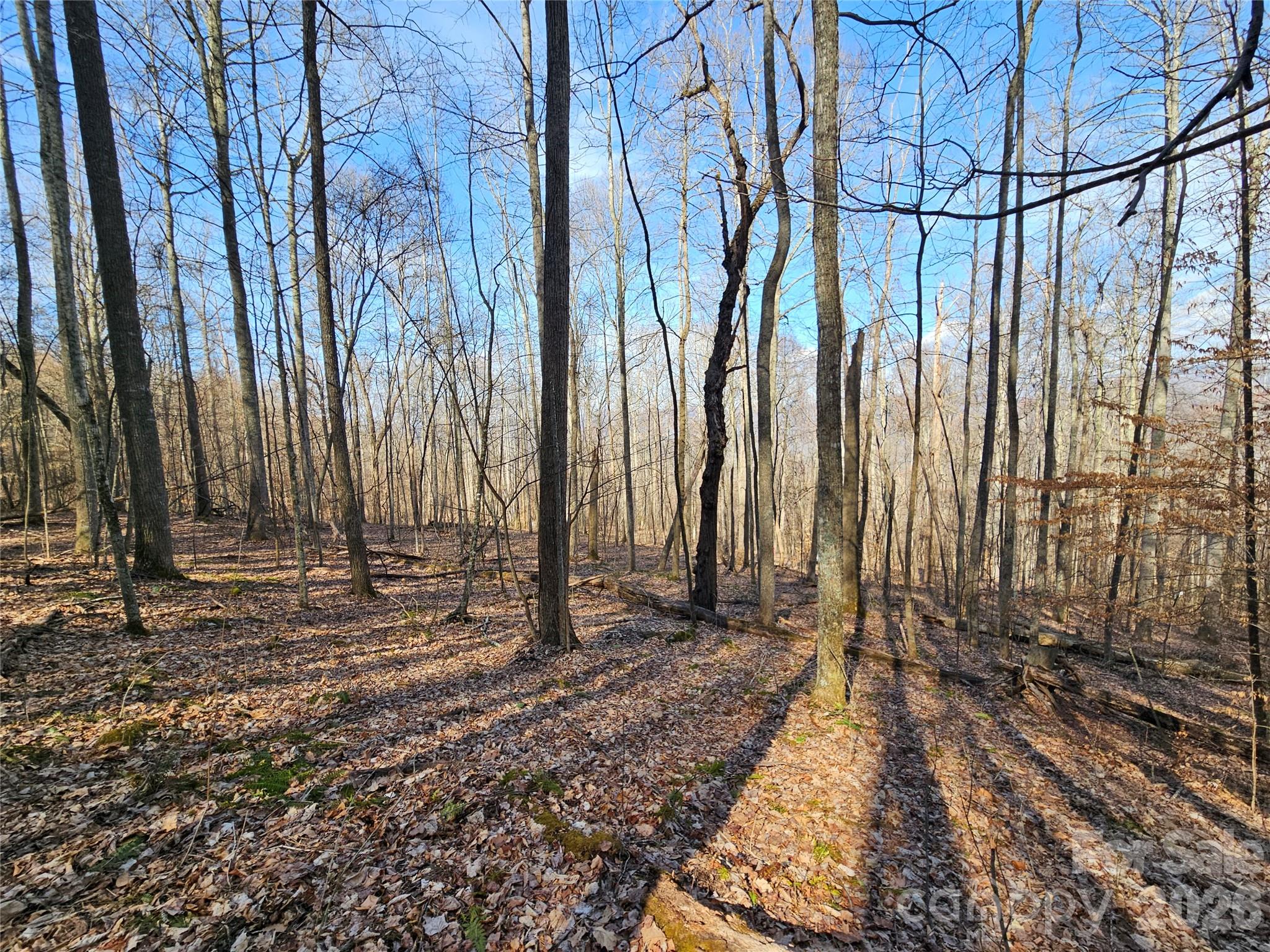 Gently sloped 2.03 acre Estate lot in the well-established community of Red Wolf Run. This peaceful community features a clubhouse, pond with waterfall, gazebo and picnic area. Ideal for your primary or part-time residence or vacation rental investment, with the perfect balance of natural beauty, mountain tranquility, and close proximity to regional amenities. 15 minutes to the town of Mars Hill and Hatley Pointe Mountain Resort, and just over 30 minutes to Asheville. Enjoy all of the best that WNC has to offer and call today for your private showing!