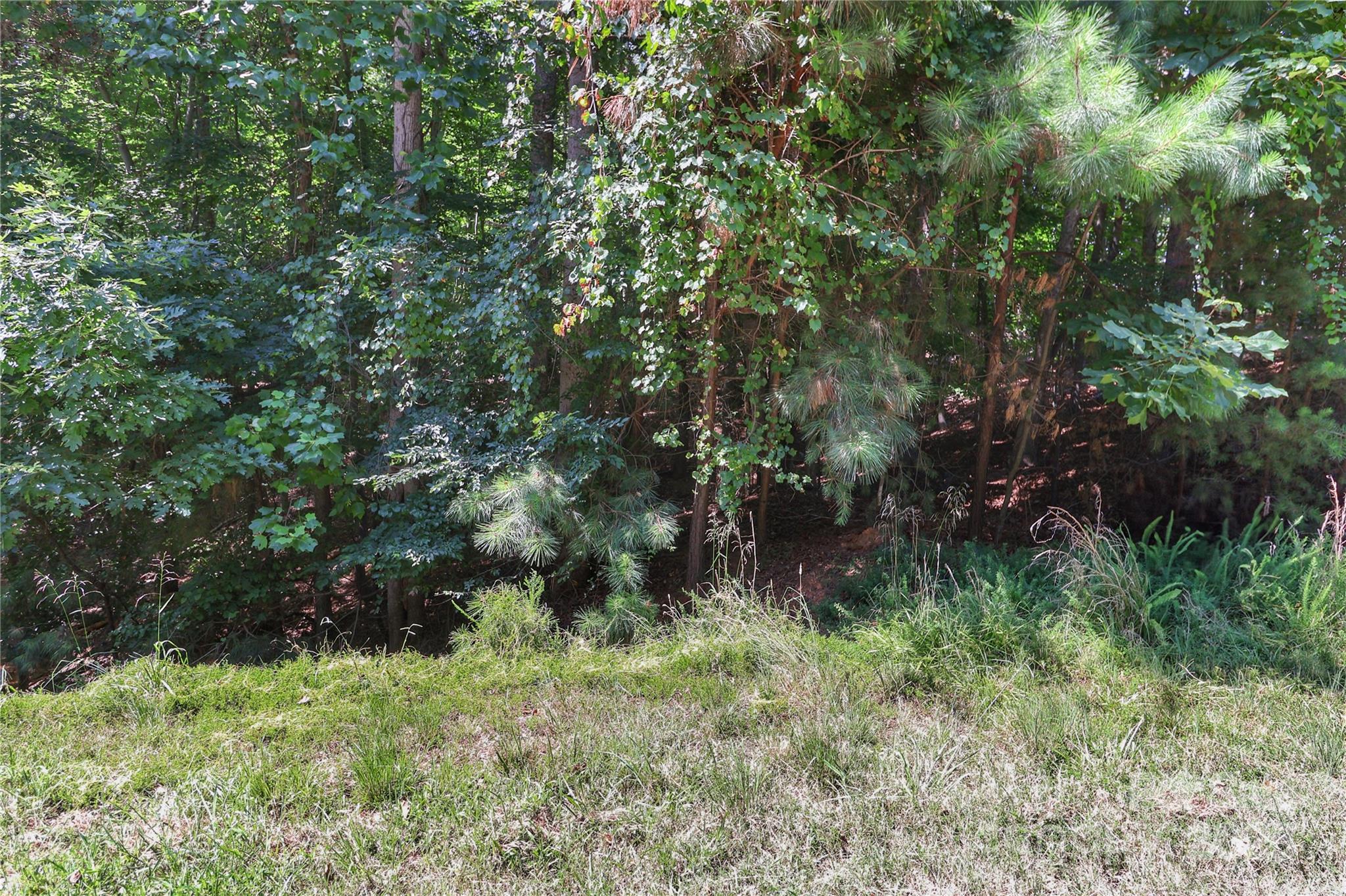 Woodleaf - Land