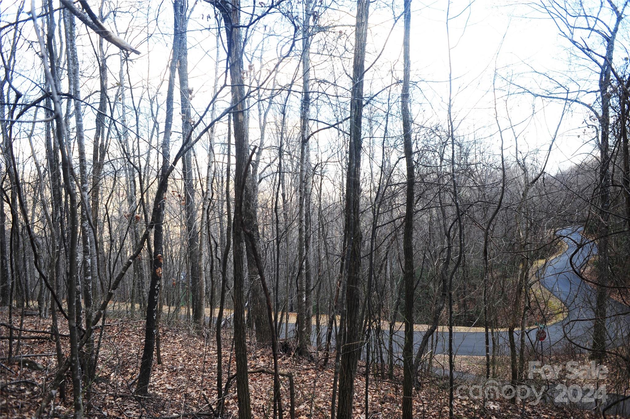 Laurel Ridge - Land