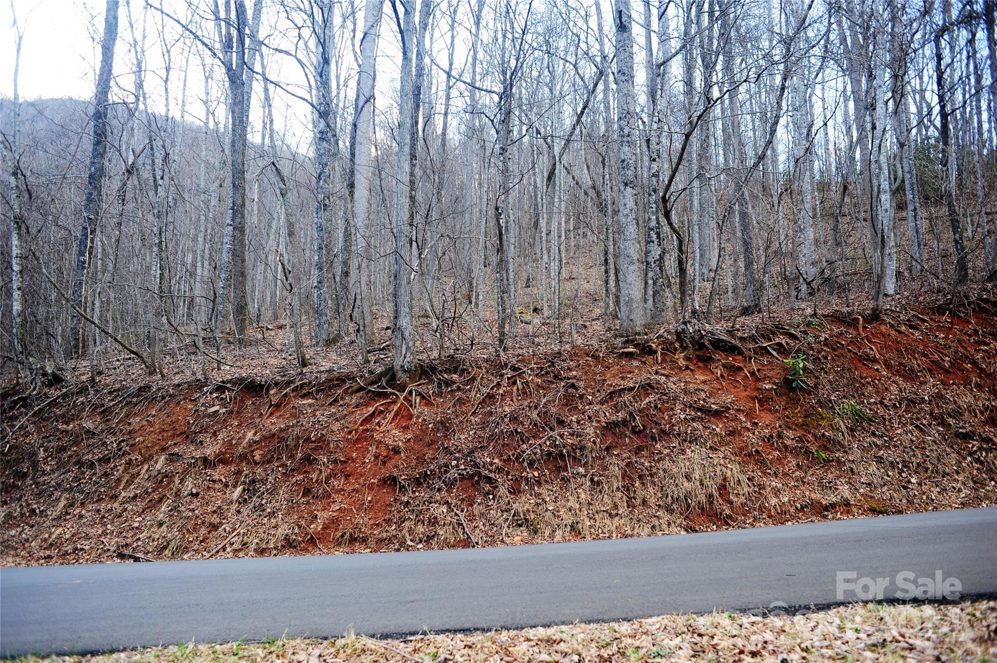 Laurel Ridge - Land