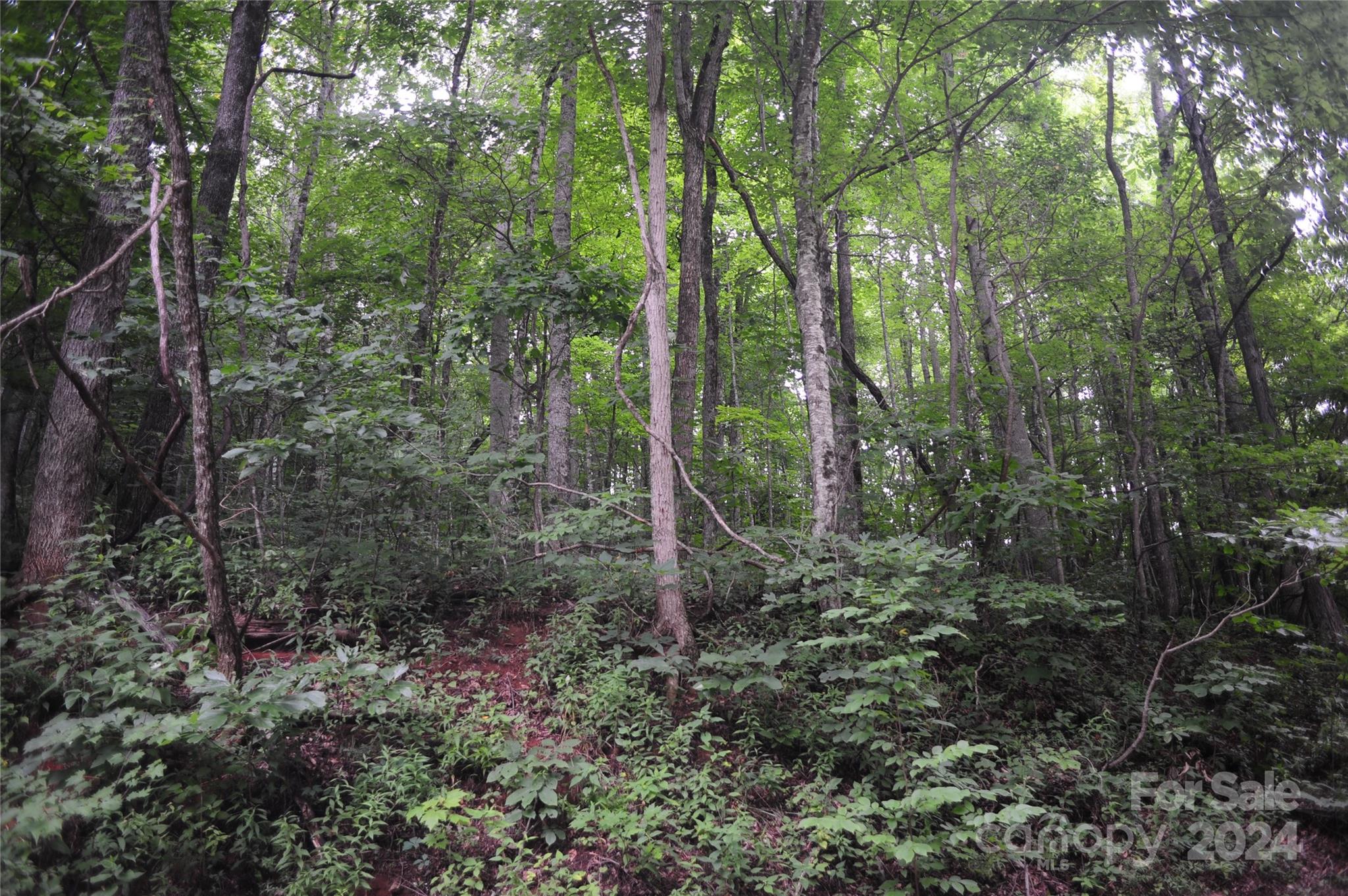 Laurel Ridge - Land