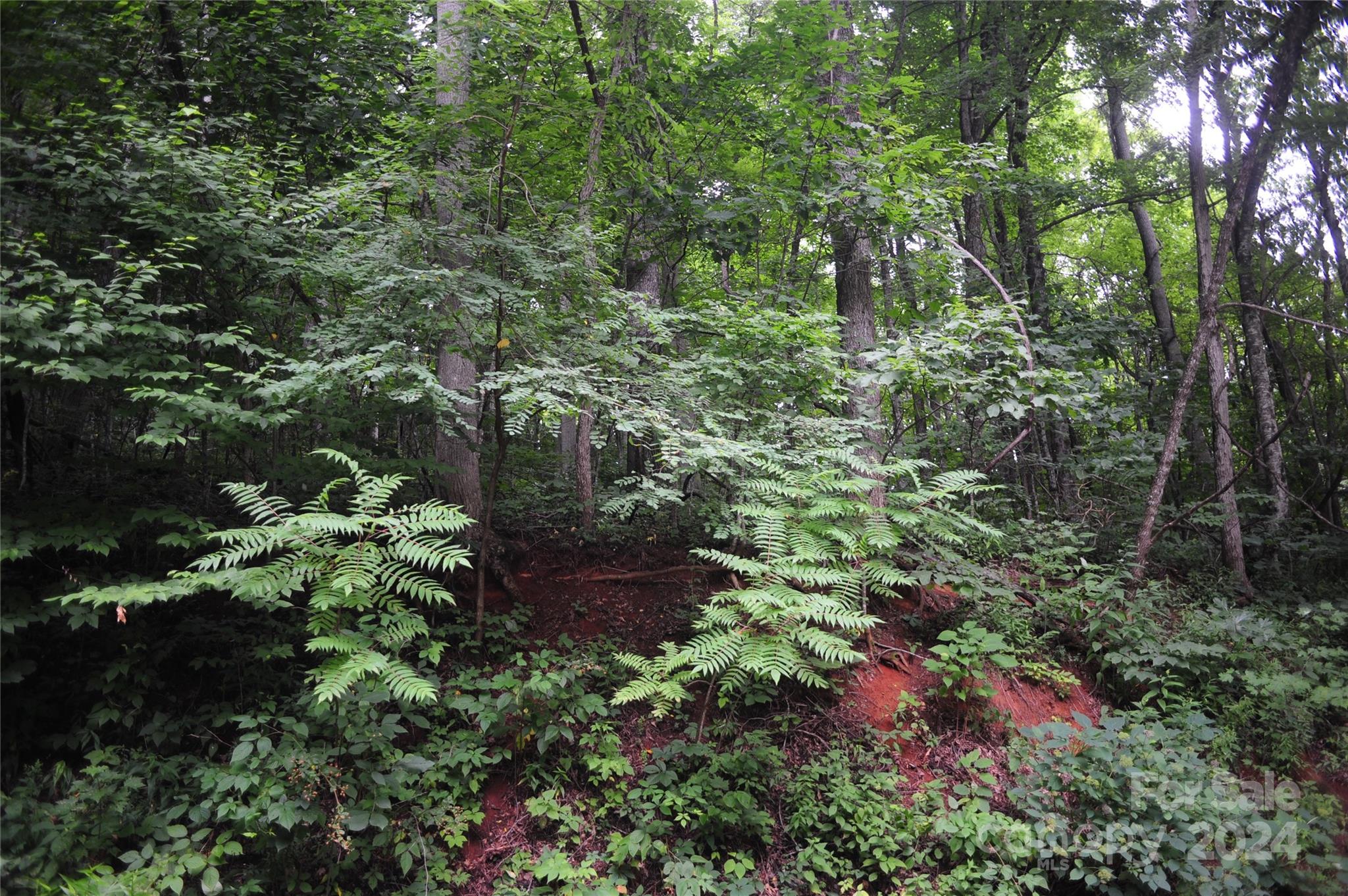 Laurel Ridge - Land