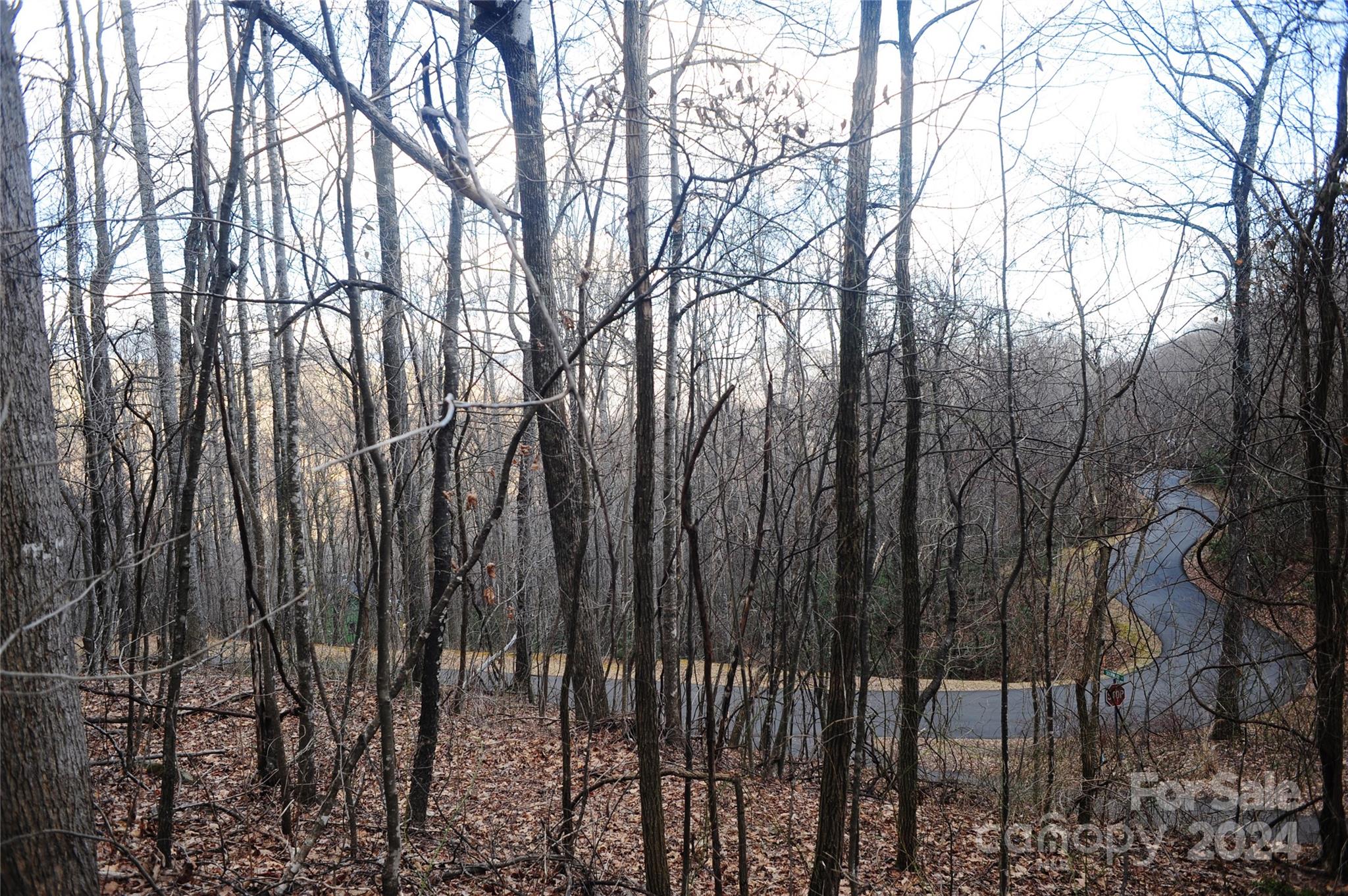 Bring your buyers to this 1.25-acre gently sloped building corner lot with wonderful winter views that backs up to conservation area in upscale, gated Laurel Ridge. Existing active 4-bedroom septic permit and existing survey makes the building process easier! And you'll love hearing the soothing sounds from the nearby creek! Laurel Ridge is a subdivision of 90+ executive homes and features a community water system; underground utilities, including high-speed fiber optic internet; fire substation; community center (lodge); and abundant wildlife. All this only 10 minutes to downtown Black Mountain and 15 minutes to I-40. Black Mountain was featured in Southern Living Magazine and has received numerous accolades in other publications. See this lovely property today and take advantage of this amazing opportunity!