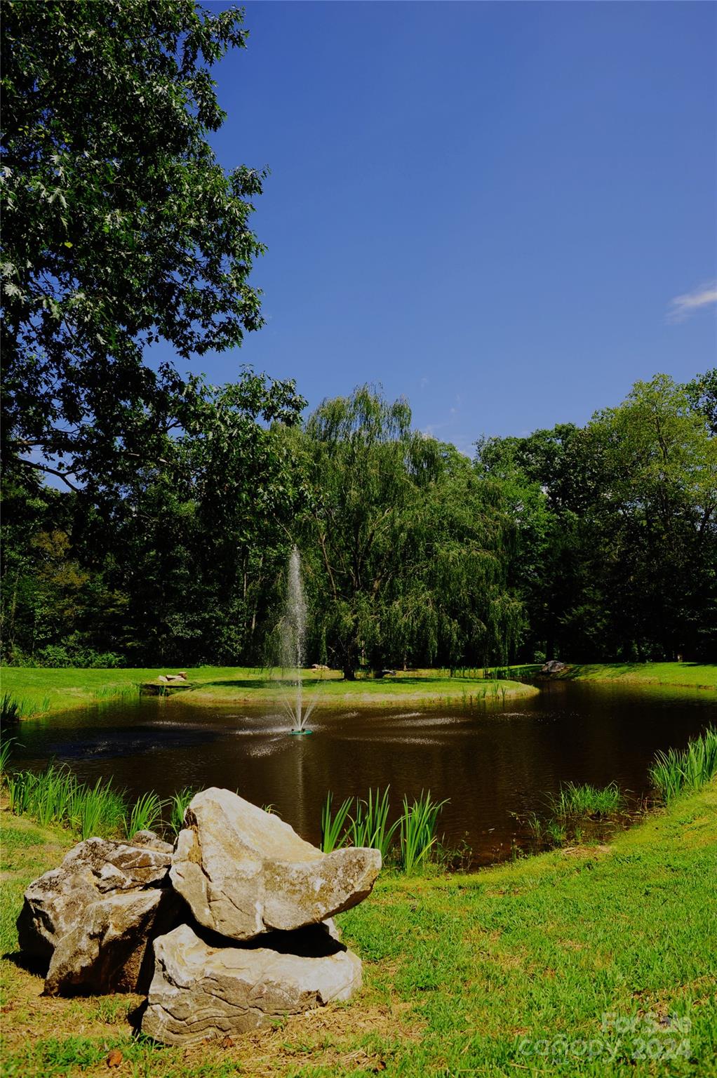 Laurel Ridge - Land