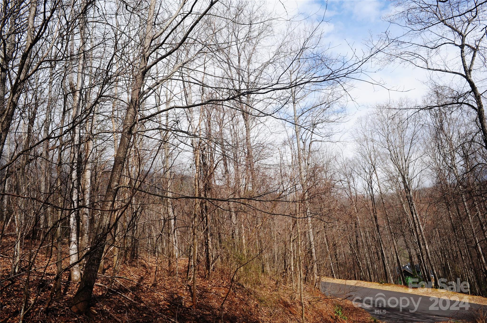Laurel Ridge - Land