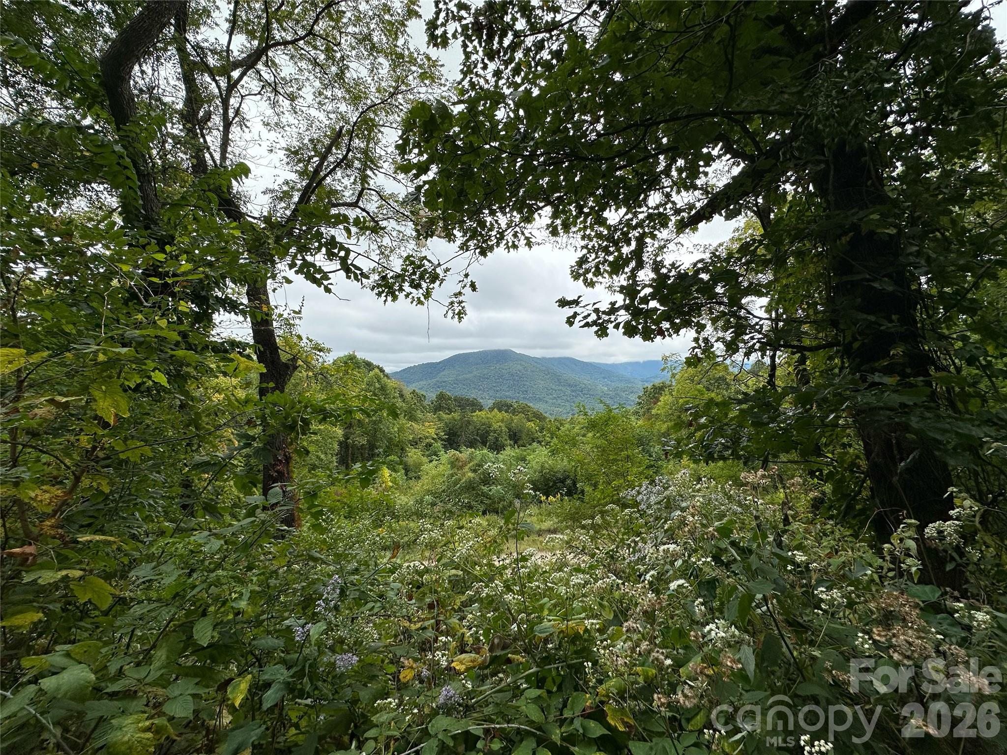 The Summit of Asheville - Land