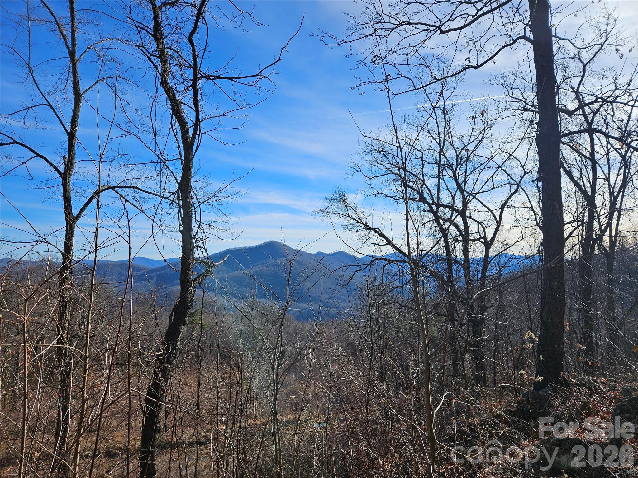 The Summit of Asheville - Land