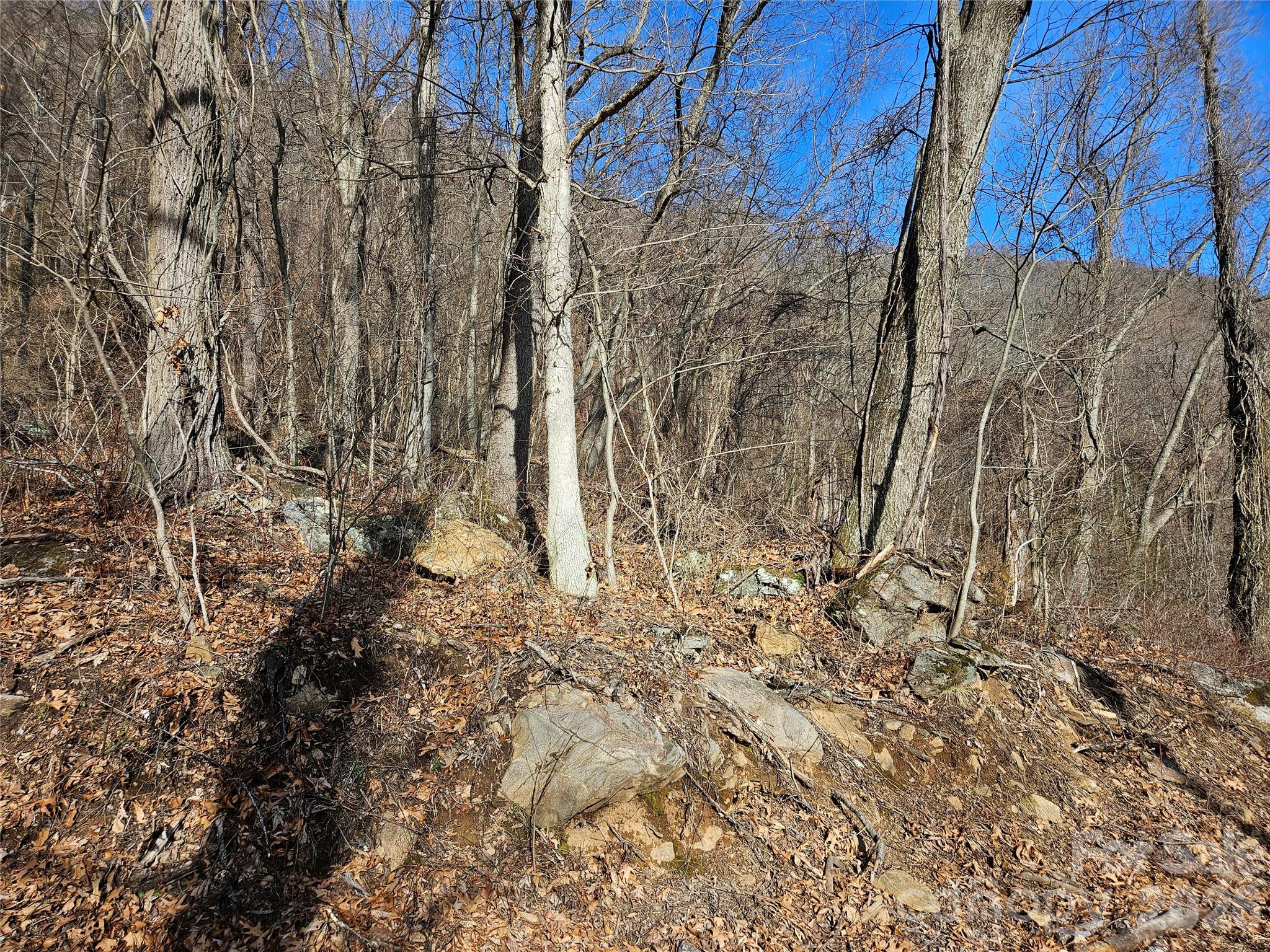 The Summit of Asheville - Land