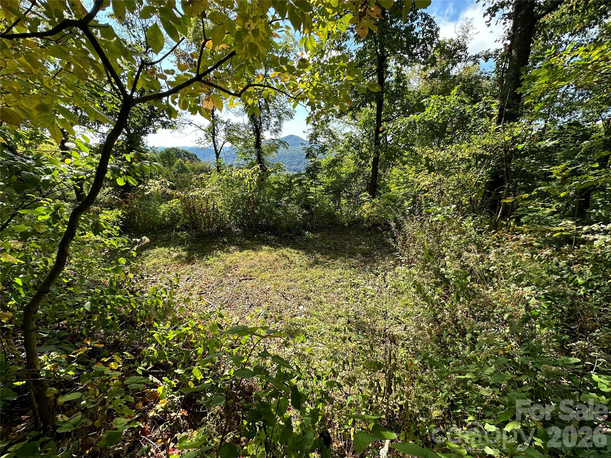 The Summit of Asheville - Land