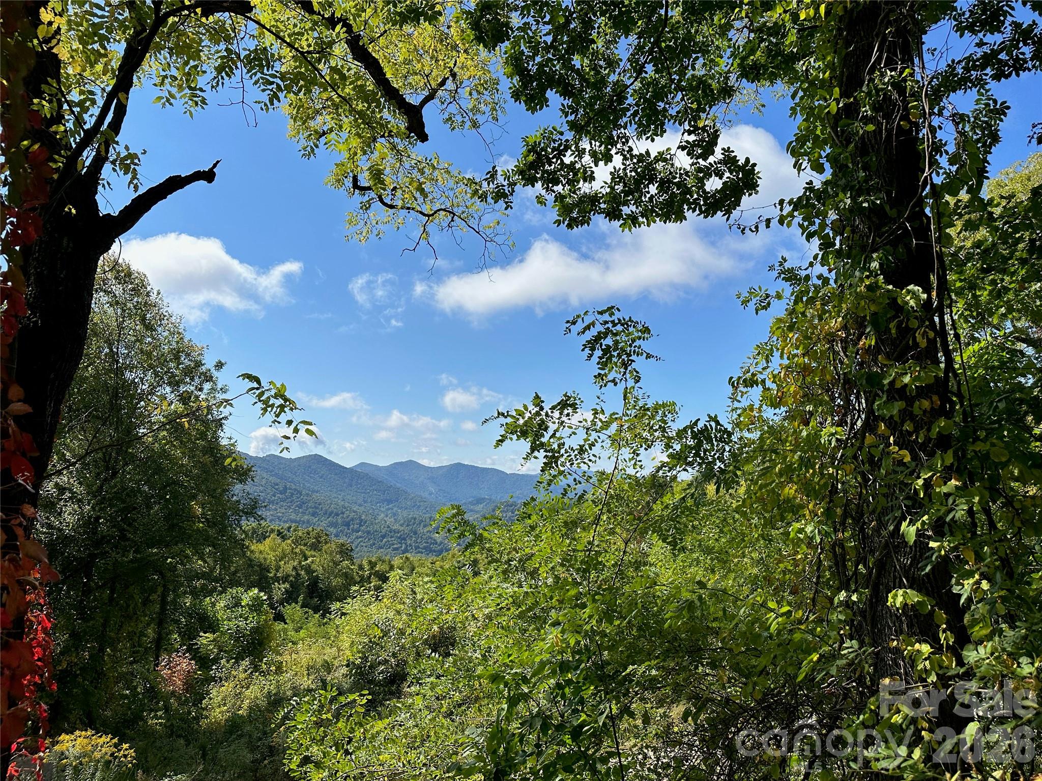 Spectacular year round long range mountain views from this 10.10 acre parcel in the highly desirable gated community of The Summit of Asheville. Underground power and fiber internet in place, coupled with the panoramic southerly views this lot would make an incredible site for a seasonal or year round residence. Situated 20 minutes from downtown Asheville and 25 minutes from Waynesville, you'll feel secluded from the hustle and bustle but everything you need at your fingertips with I-40 minutes away. Grow your green thumb at the community garden, or just take in the magnificent scenery within the community abound with wildlife. Driveway with culvert and landing already in place, this lot just needs the finishing touches to create a truly special mountain homestead. Call today for your private showing!