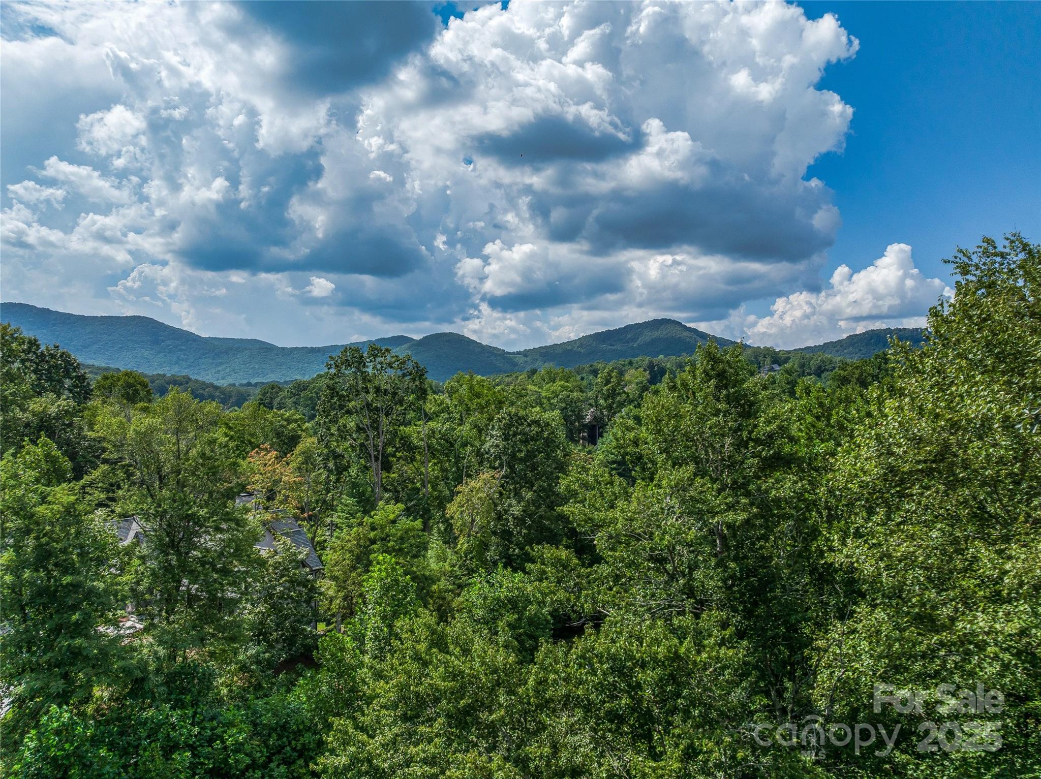 The Cliffs At Walnut Cove - Residential