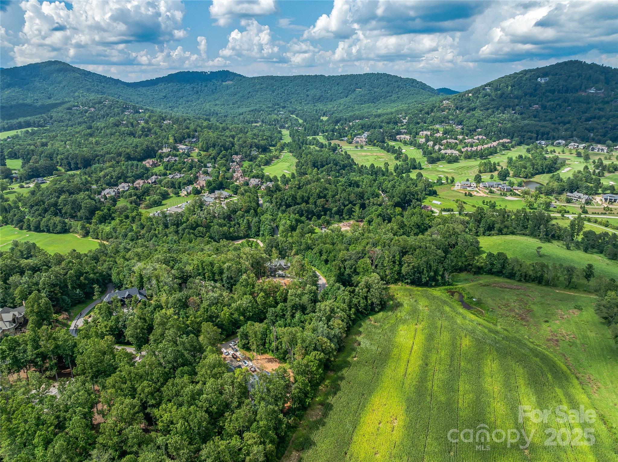 The Cliffs At Walnut Cove - Residential