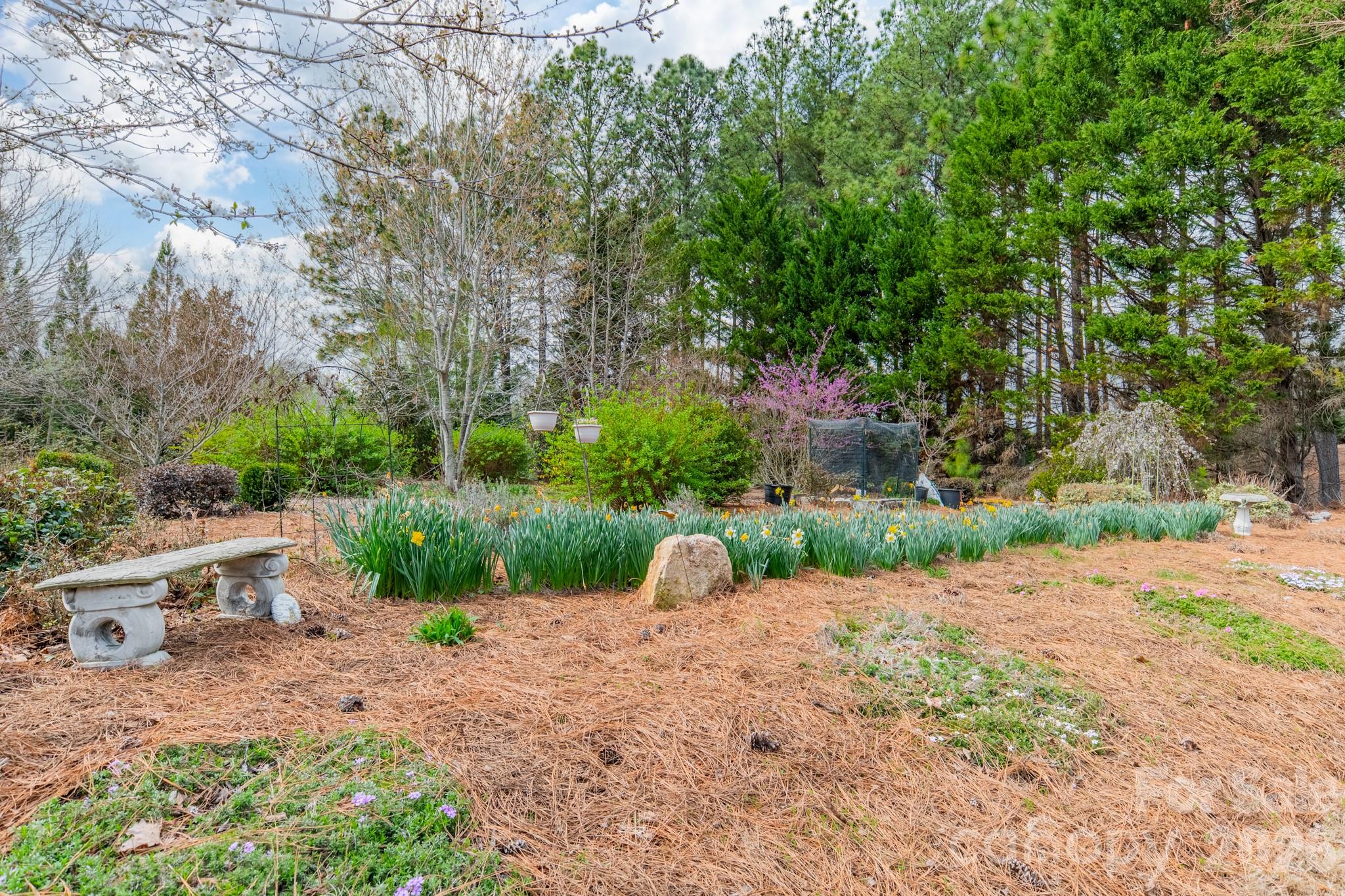 Waterside at the Catawba - Residential