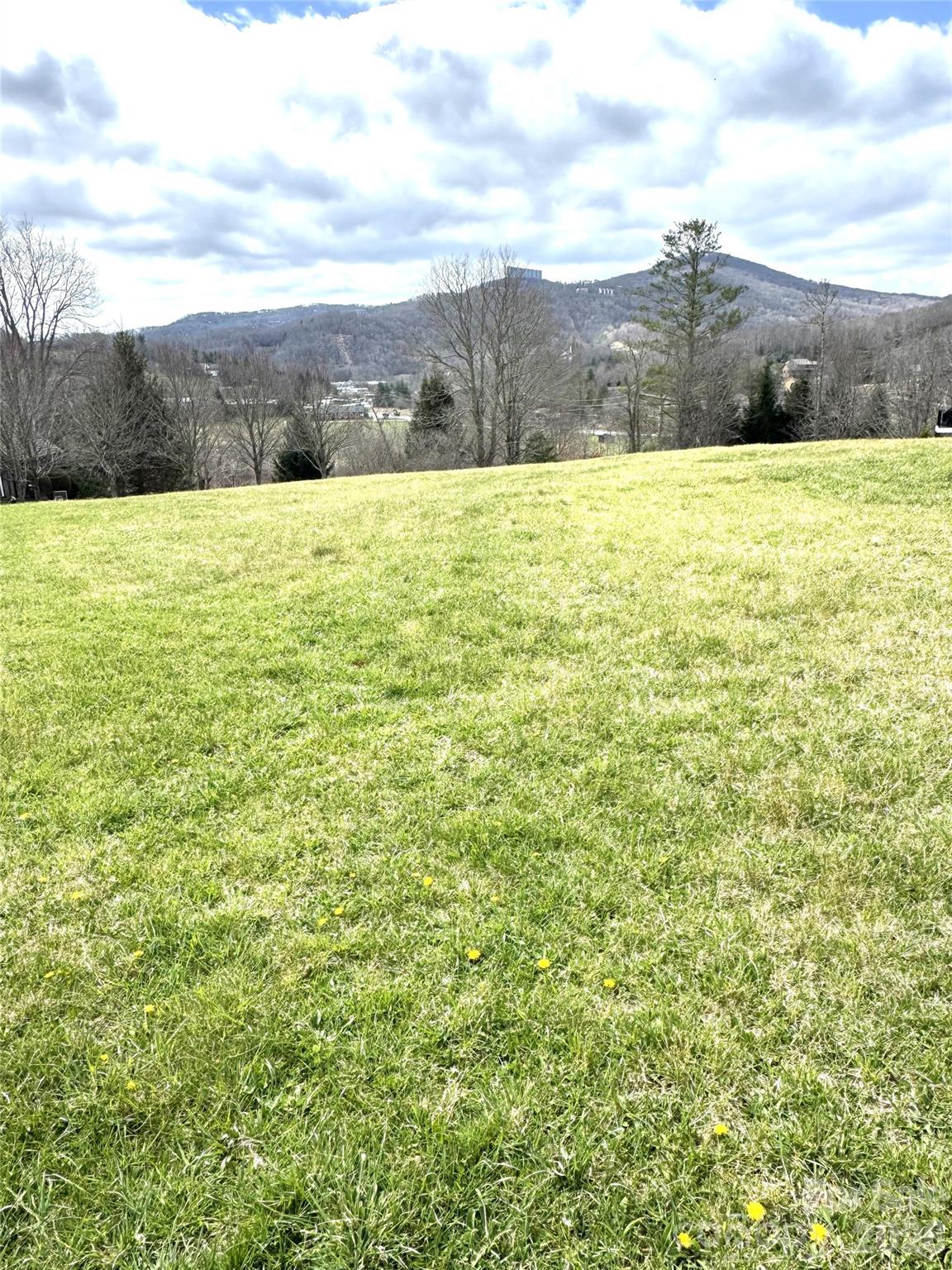 The Farm at Banner Elk - Land
