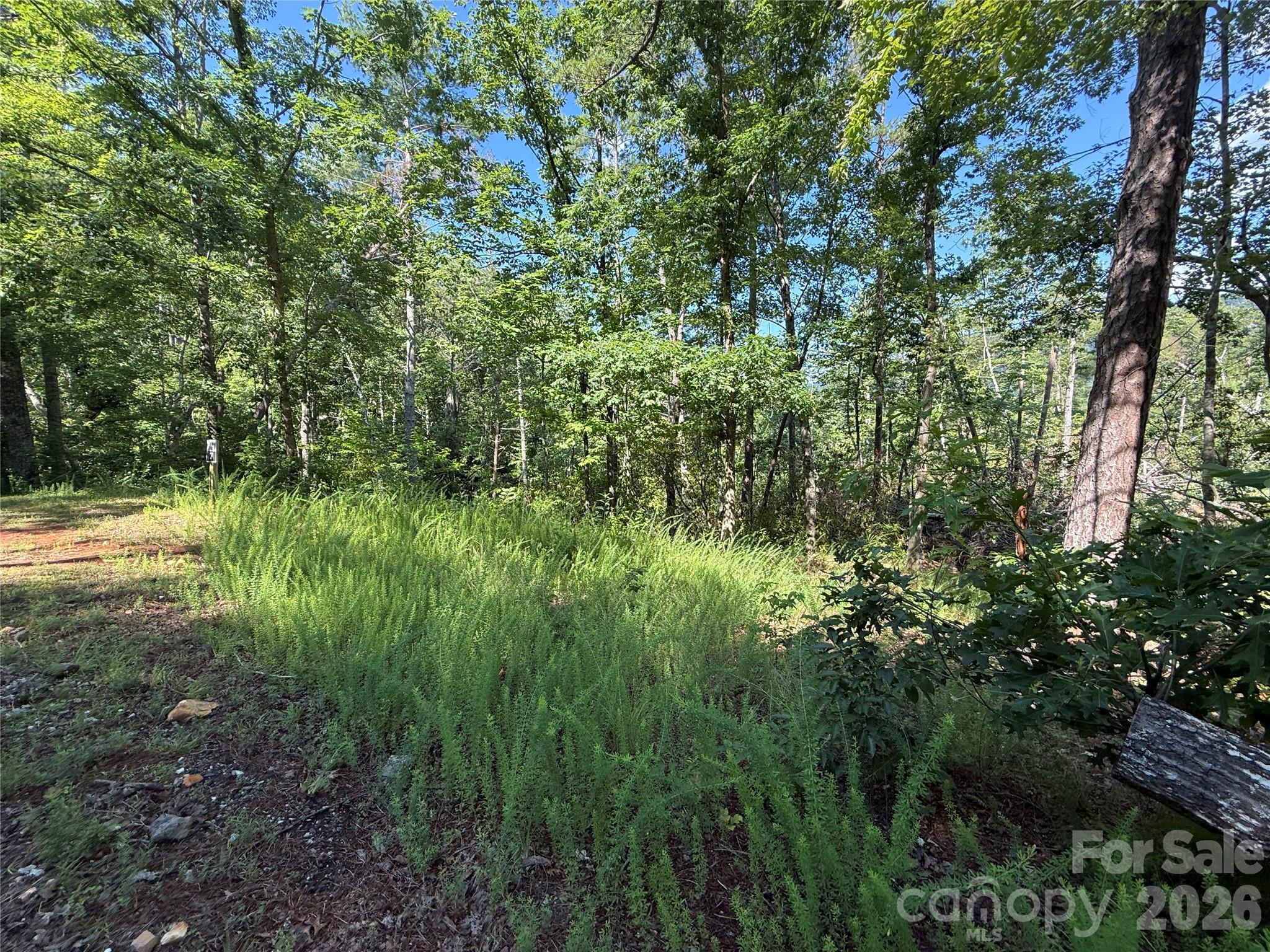 Fox Ridge - Land