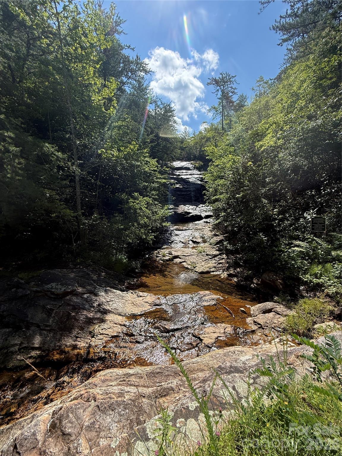 Fox Ridge - Land