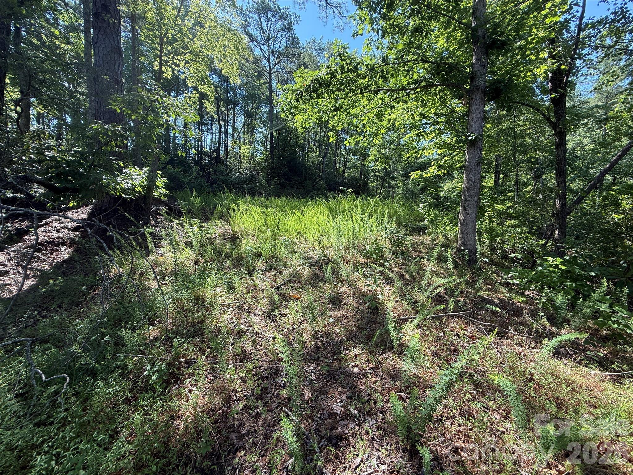 Fox Ridge - Land
