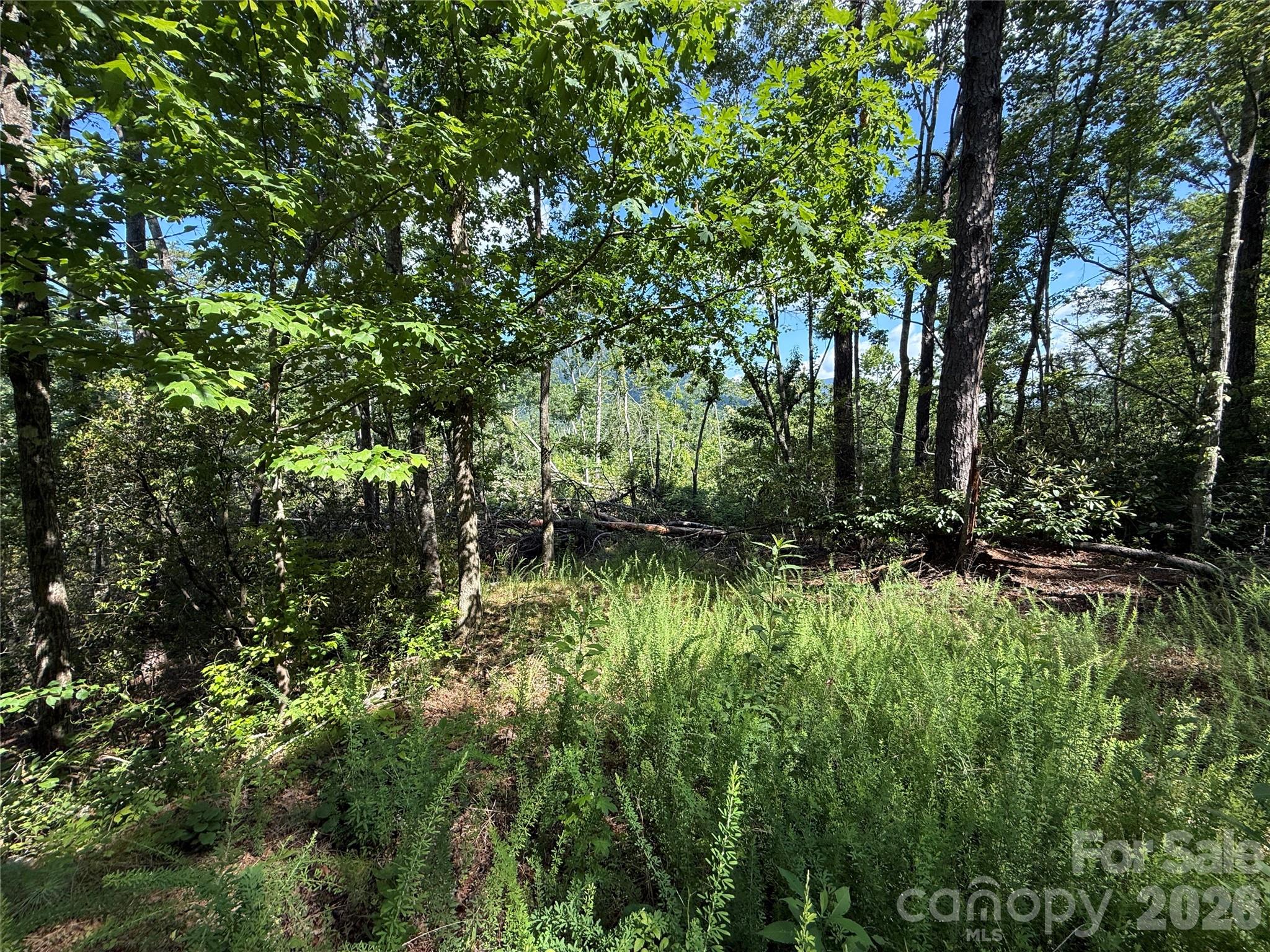 Fox Ridge - Land