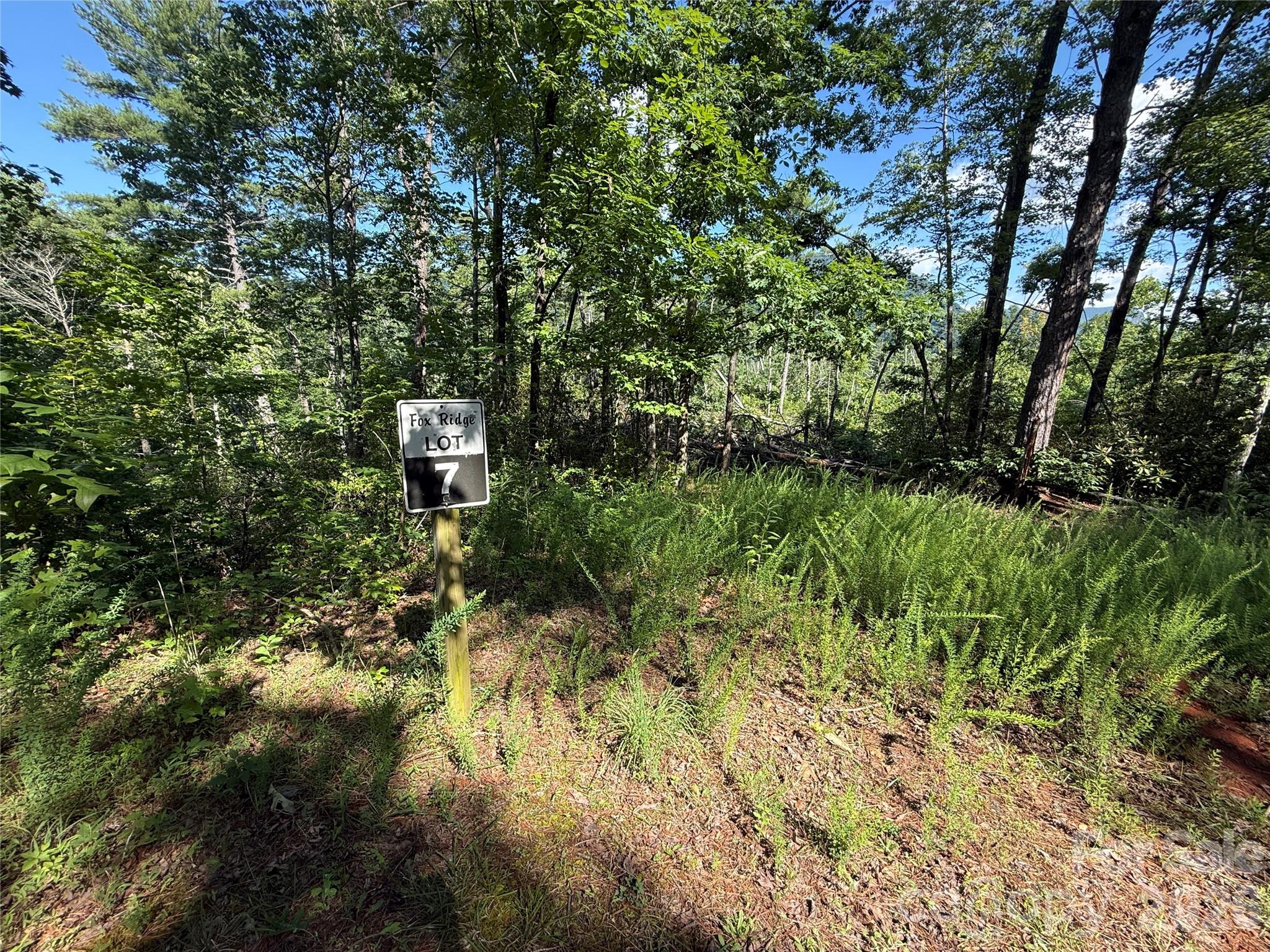 Fox Ridge - Land
