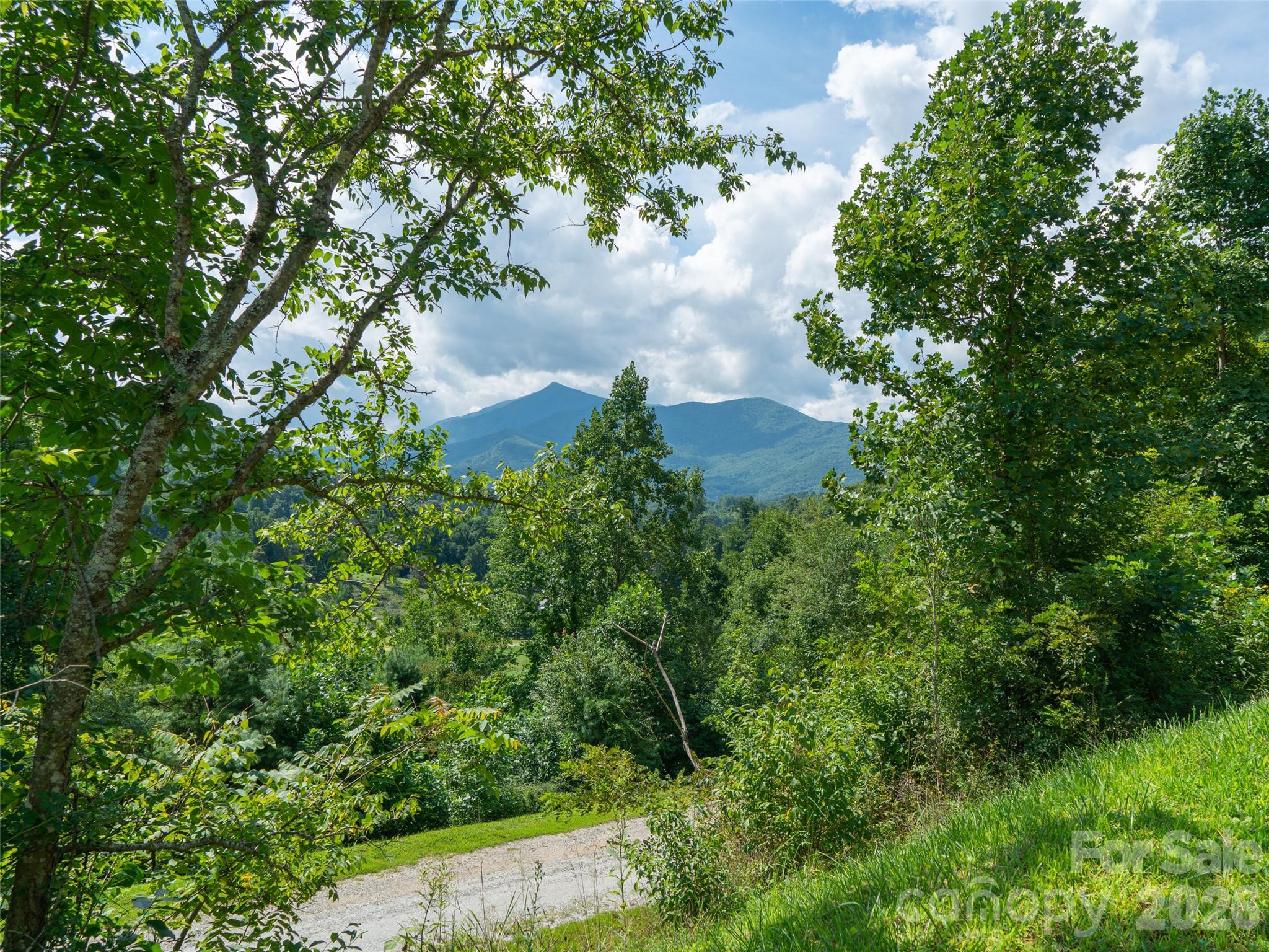 Locust Rough Mountain - Land