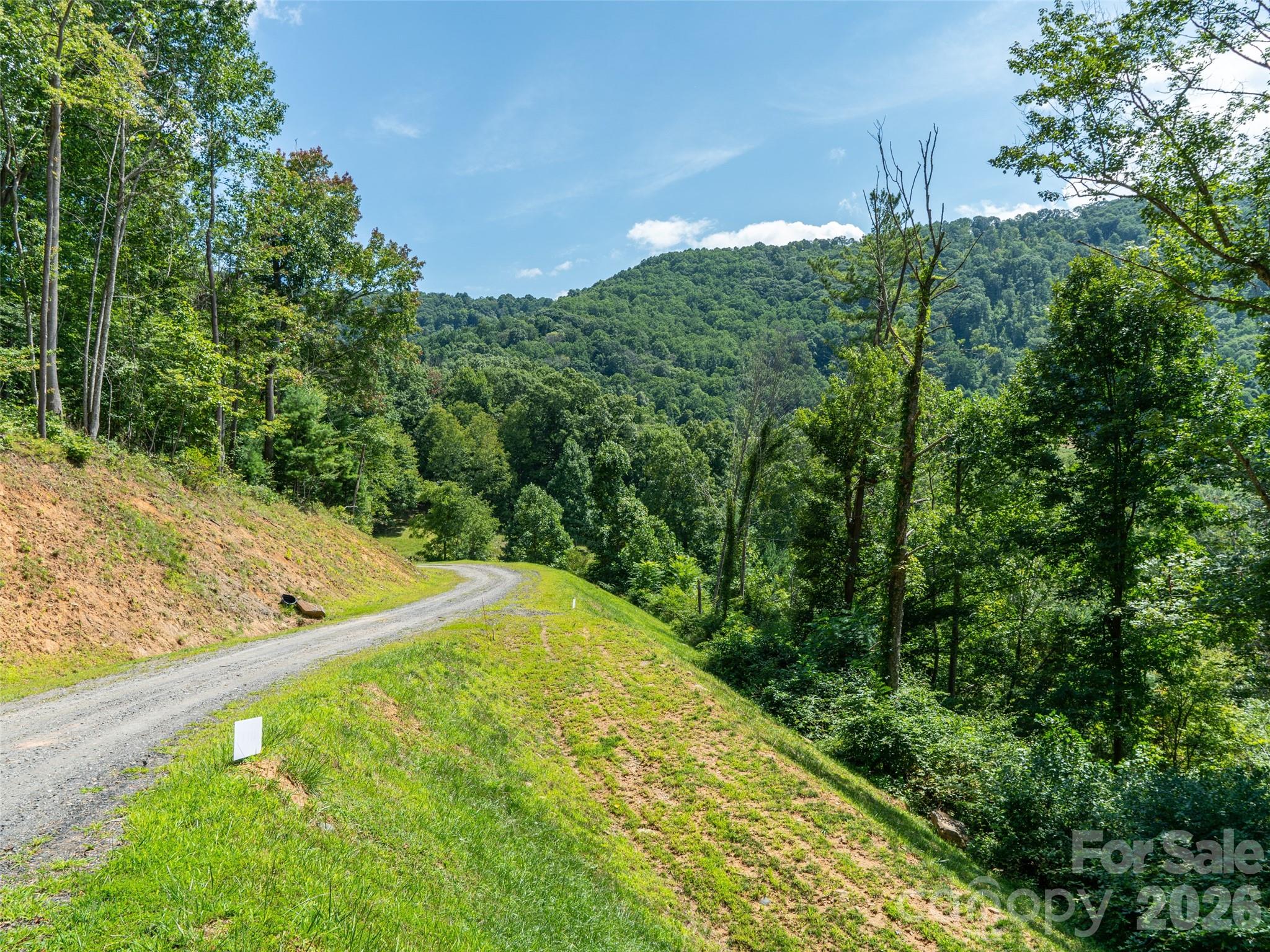 Locust Rough Mountain - Land