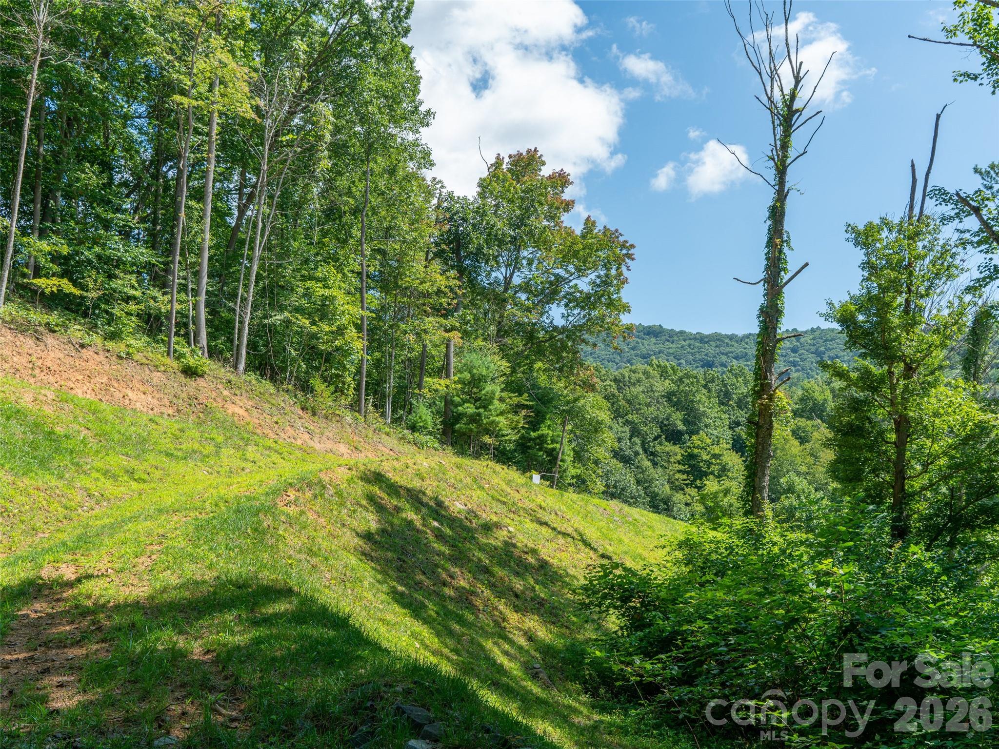 Locust Rough Mountain - Land