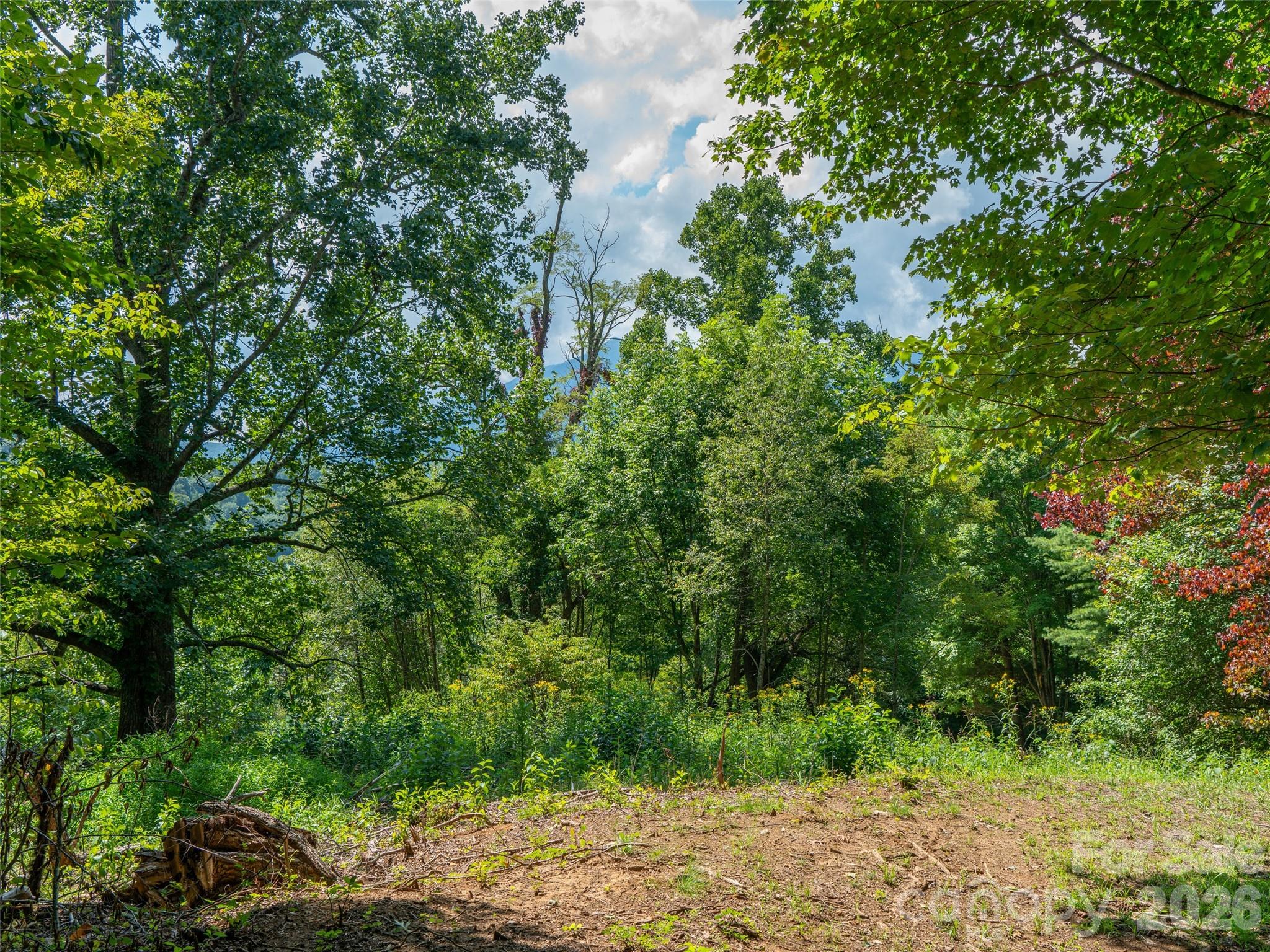 Locust Rough Mountain - Land