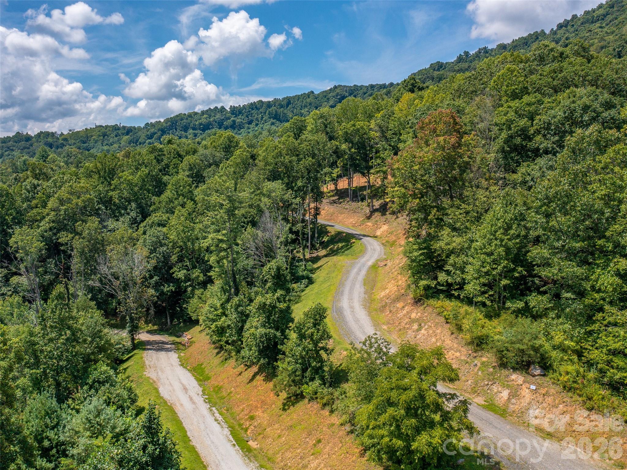 Locust Rough Mountain - Land