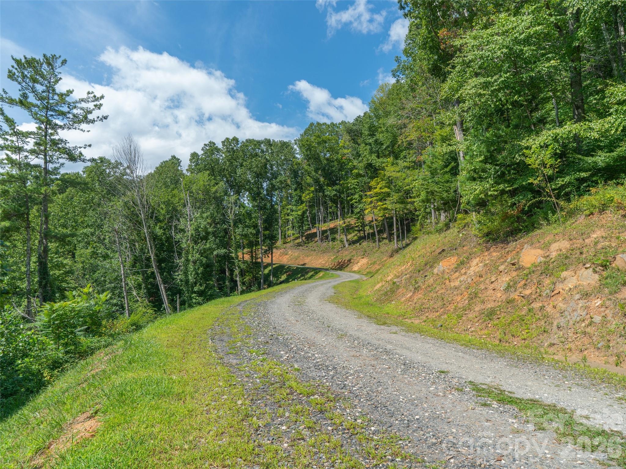 Locust Rough Mountain - Land