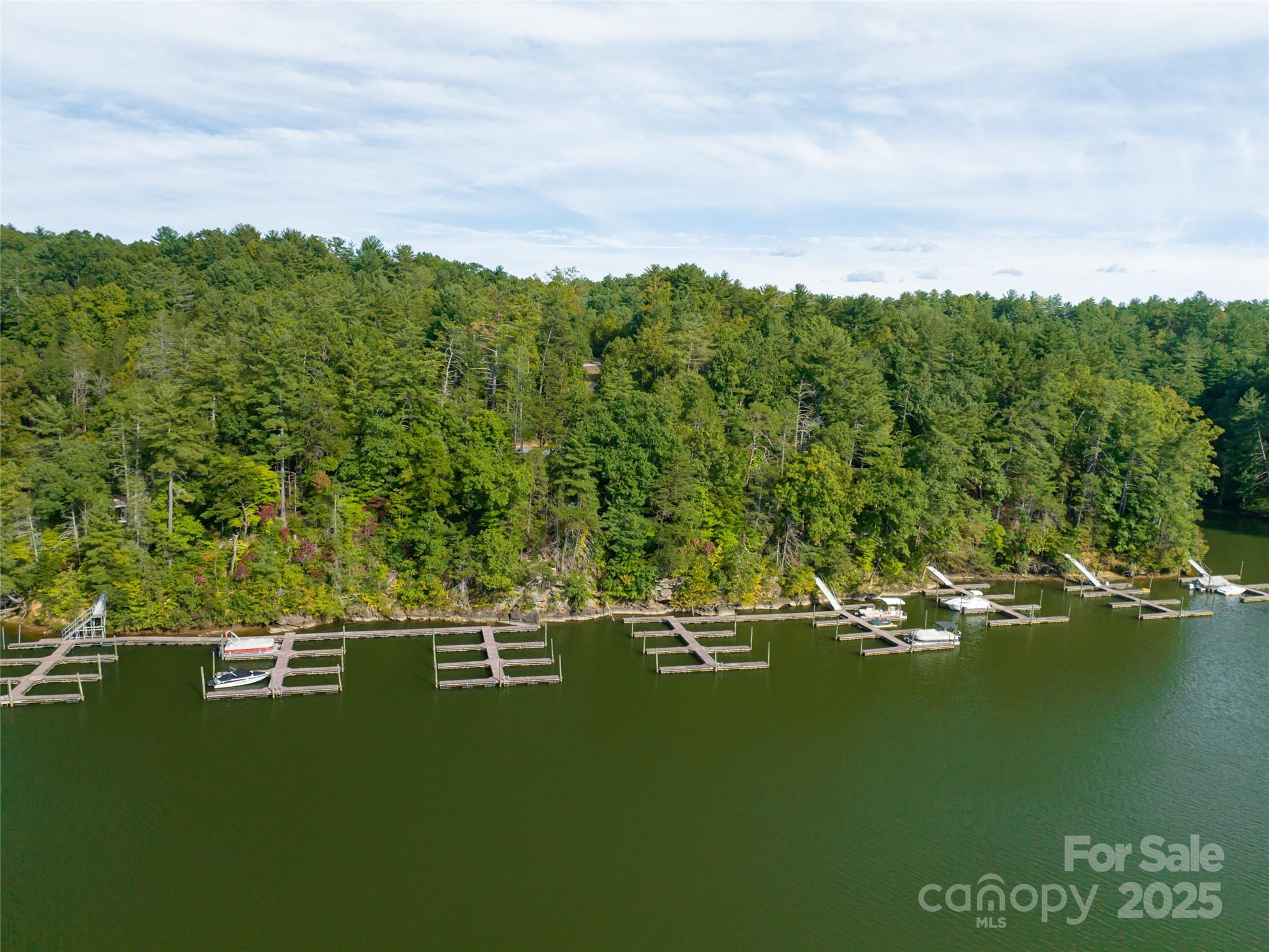 The Arbor at Lake James - Land