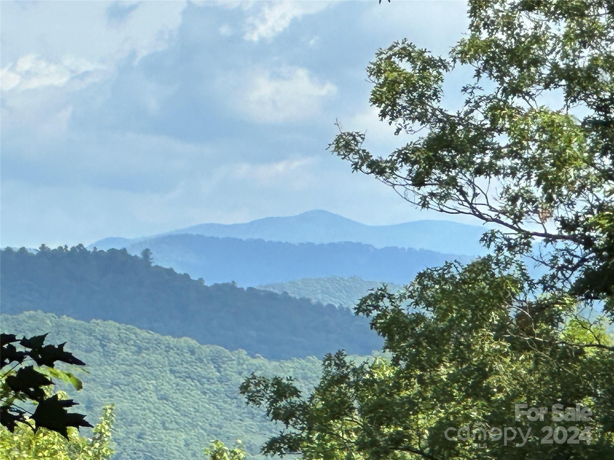 Excellent year-round long-range mountain views & a bonus of the sounds of the close-by Regan Falls. Lot 79 offers a walking trail to a defined, easy-to-build on a private home site. You will not go wrong building & investing in Round Mountain Falls. You too will love this truly special mountain-gated community. Enjoy the trail systems, community Pavilion, fishing pond, and fire pit, or relax at Abby Falls. Common areas of camping & picnicking on 1 of the 8 waterfalls. A short 25 to 28 min drive to Brevard. Pavilion offers 3 massive rock fireplaces to enjoy the family parties, and fish the stocked pond too! Gentle walk to the waterfall and the cool mountain swimming hole. The views will be amazing from your home and only required to build a 1400 square foot home. A mountain Dream to Come True for you. 1400 sq ft build size