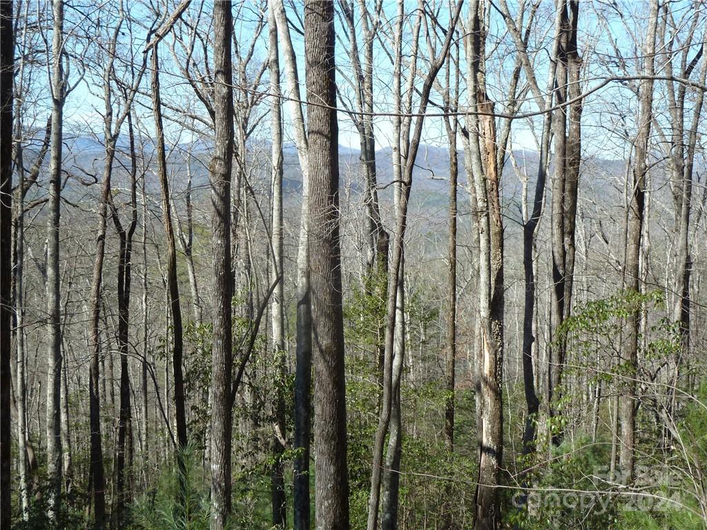 Round Mountain Falls - Land