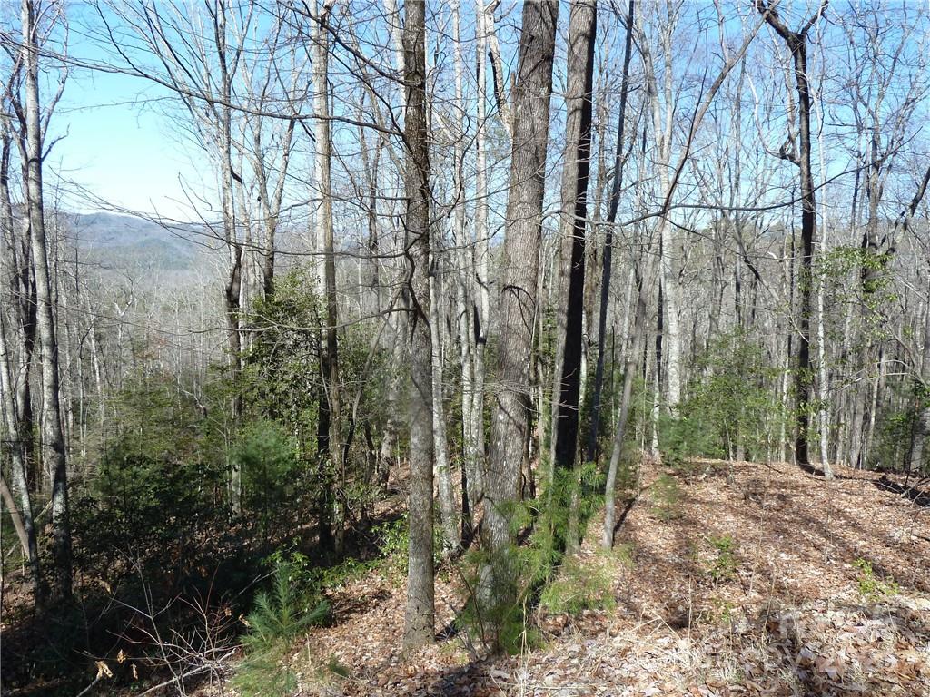 Round Mountain Falls - Land