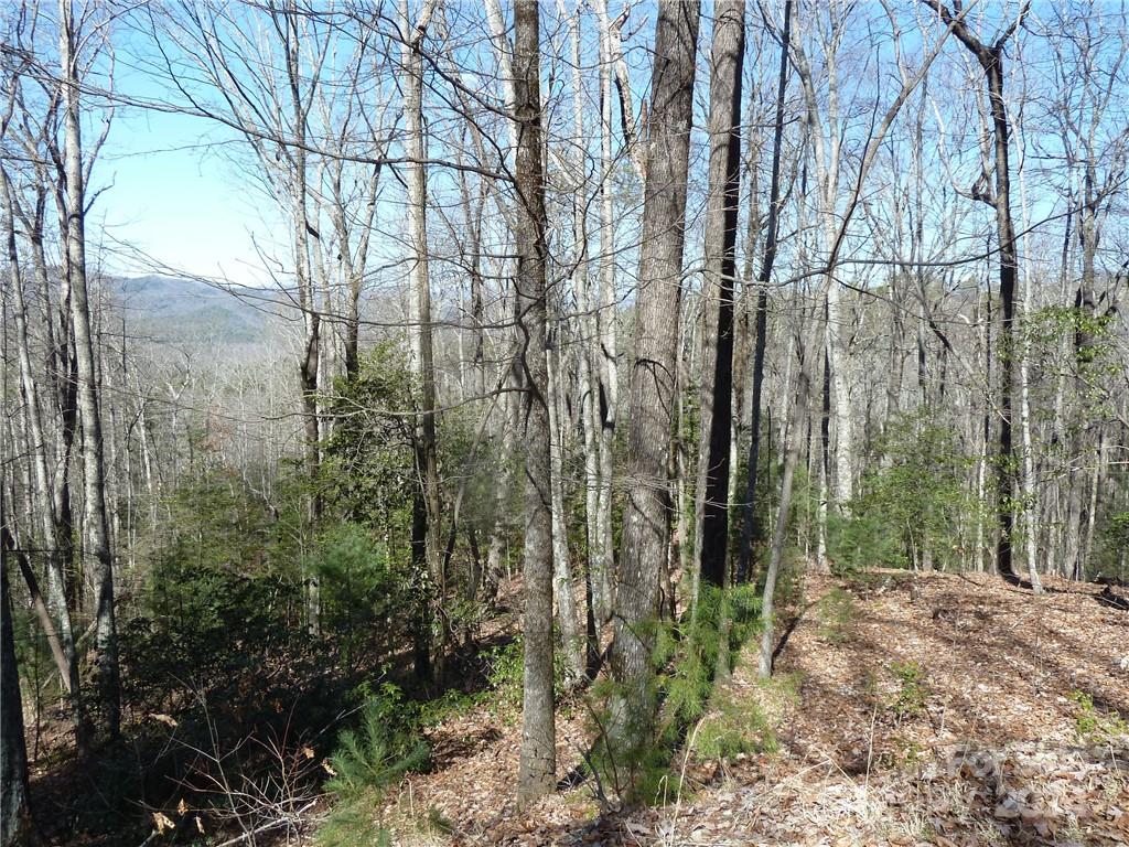 Round Mountain Falls - Land