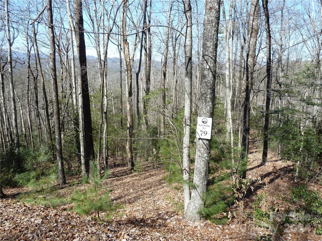 Round Mountain Falls - Land