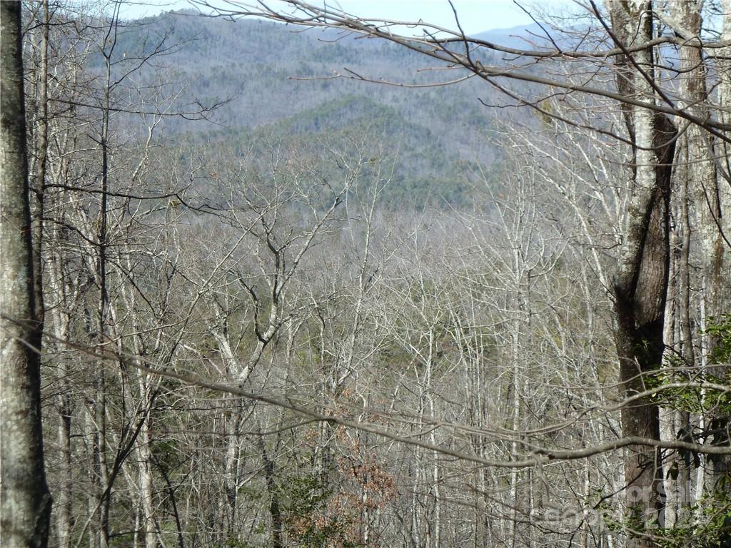 Round Mountain Falls - Land