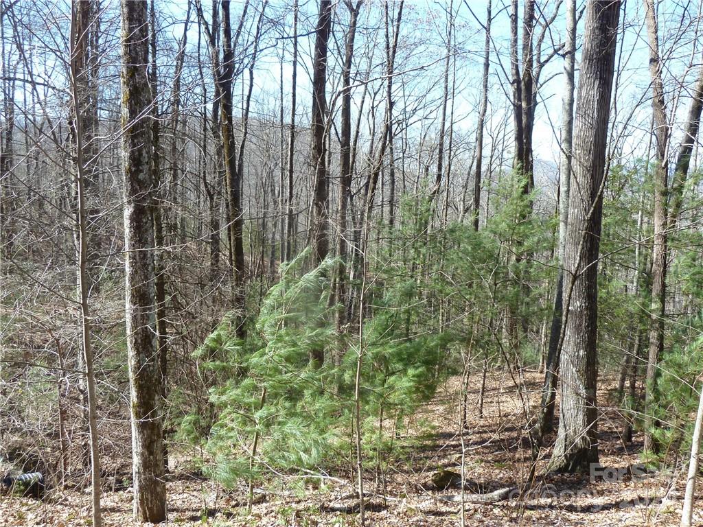 Round Mountain Falls - Land