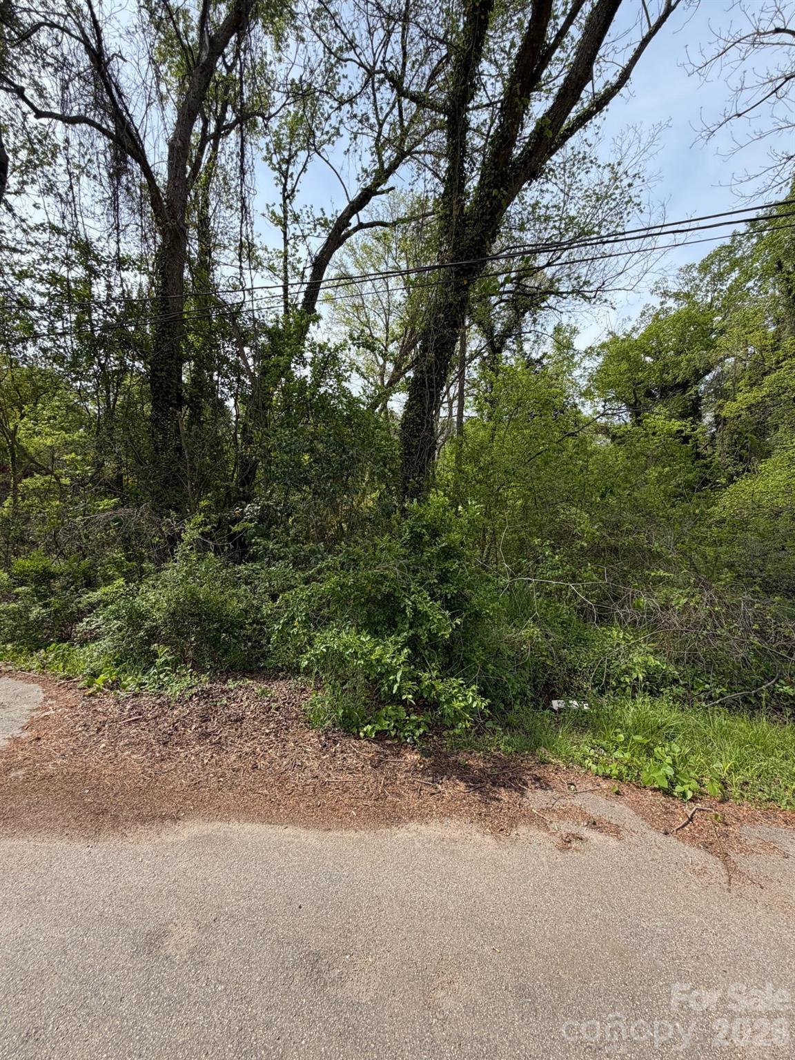Tucked in a convenient location near restaurants, shopping, and everyday essentials, this +/- 0.5 acre wooded lot offers endless potential. With a natural setting, it’s an ideal spot to bring your vision to life, whether you're looking to build or invest in a land portfolio.
