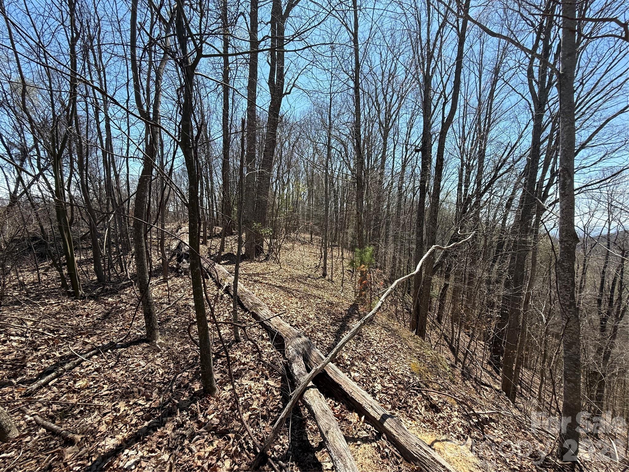 Laurel Highlands - Land