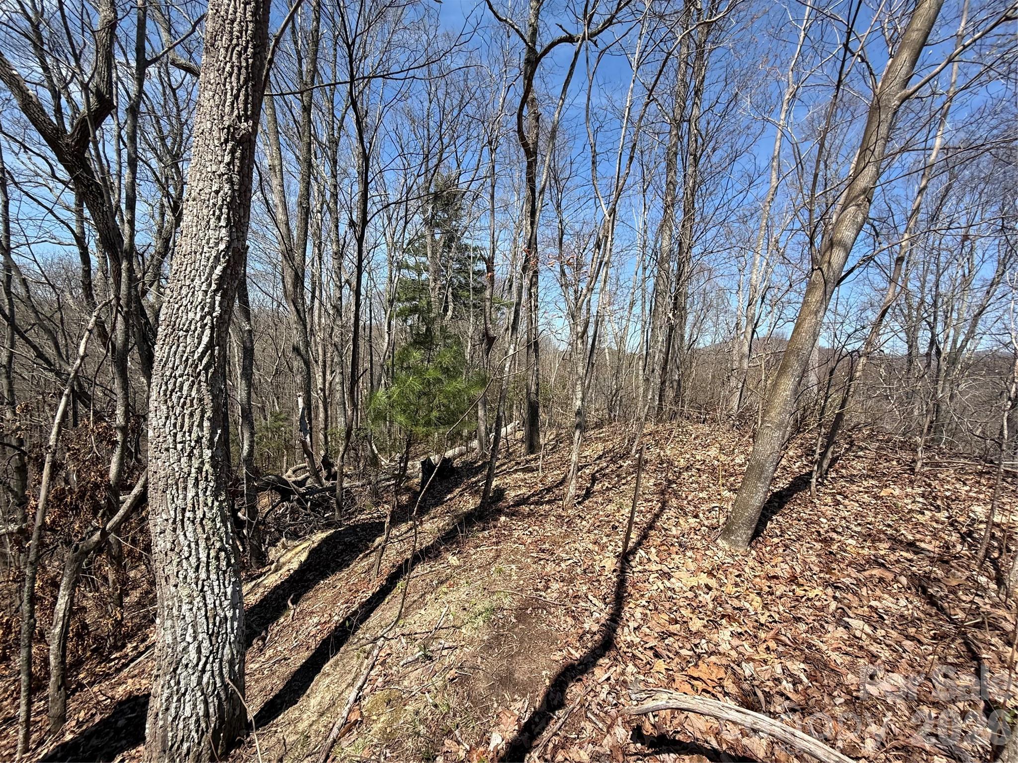 Laurel Highlands - Land